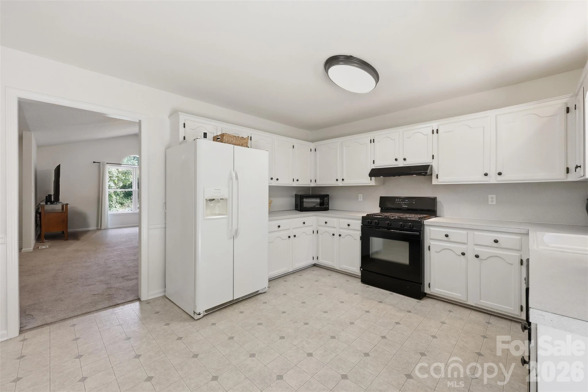 913 Pleasant Ridge Road - Photo 10
