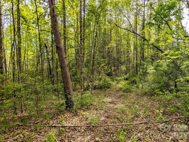 99999 Weldon Way, Fairview, NC, 28730