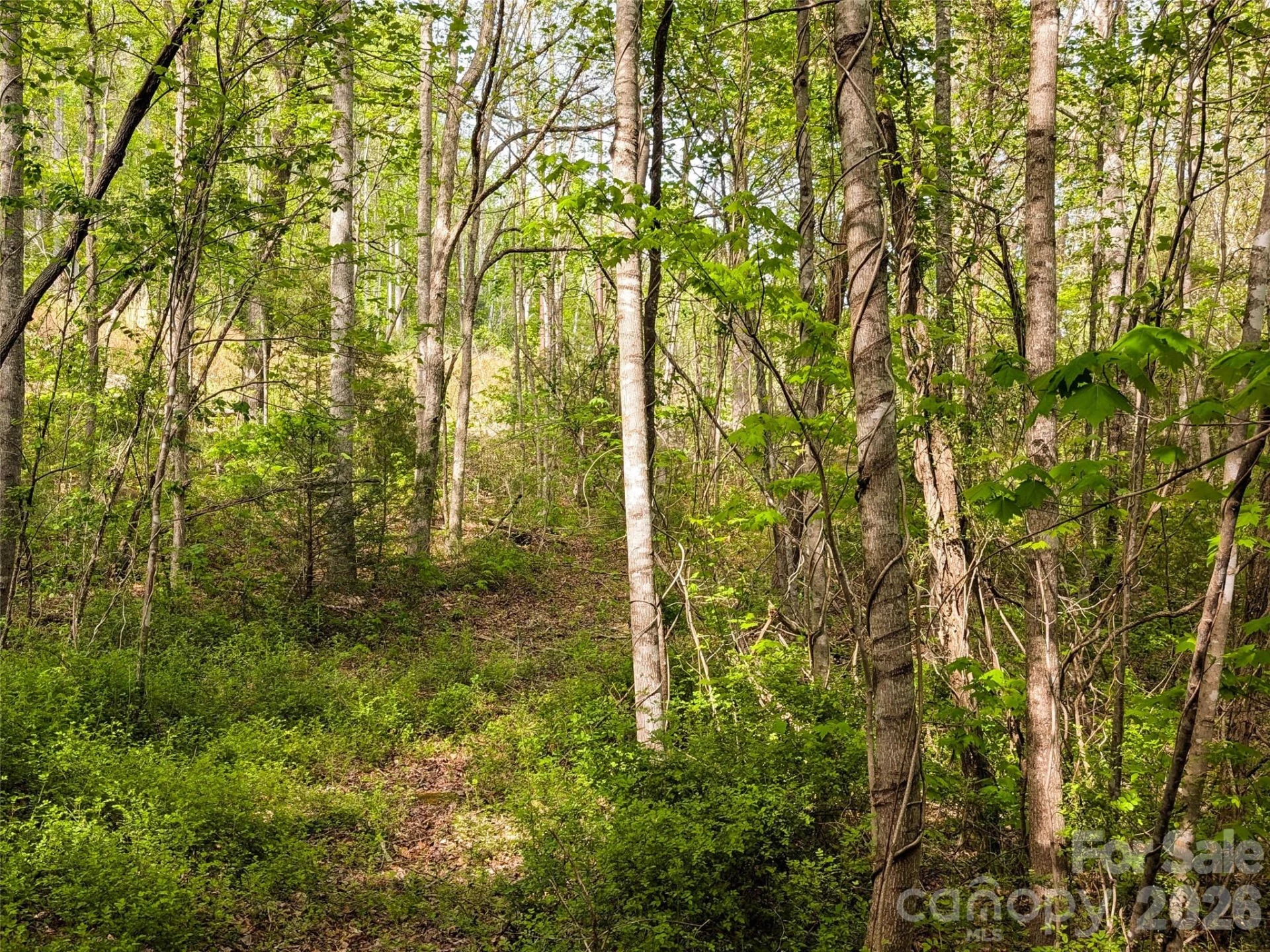 99999 Weldon Way - Photo 2