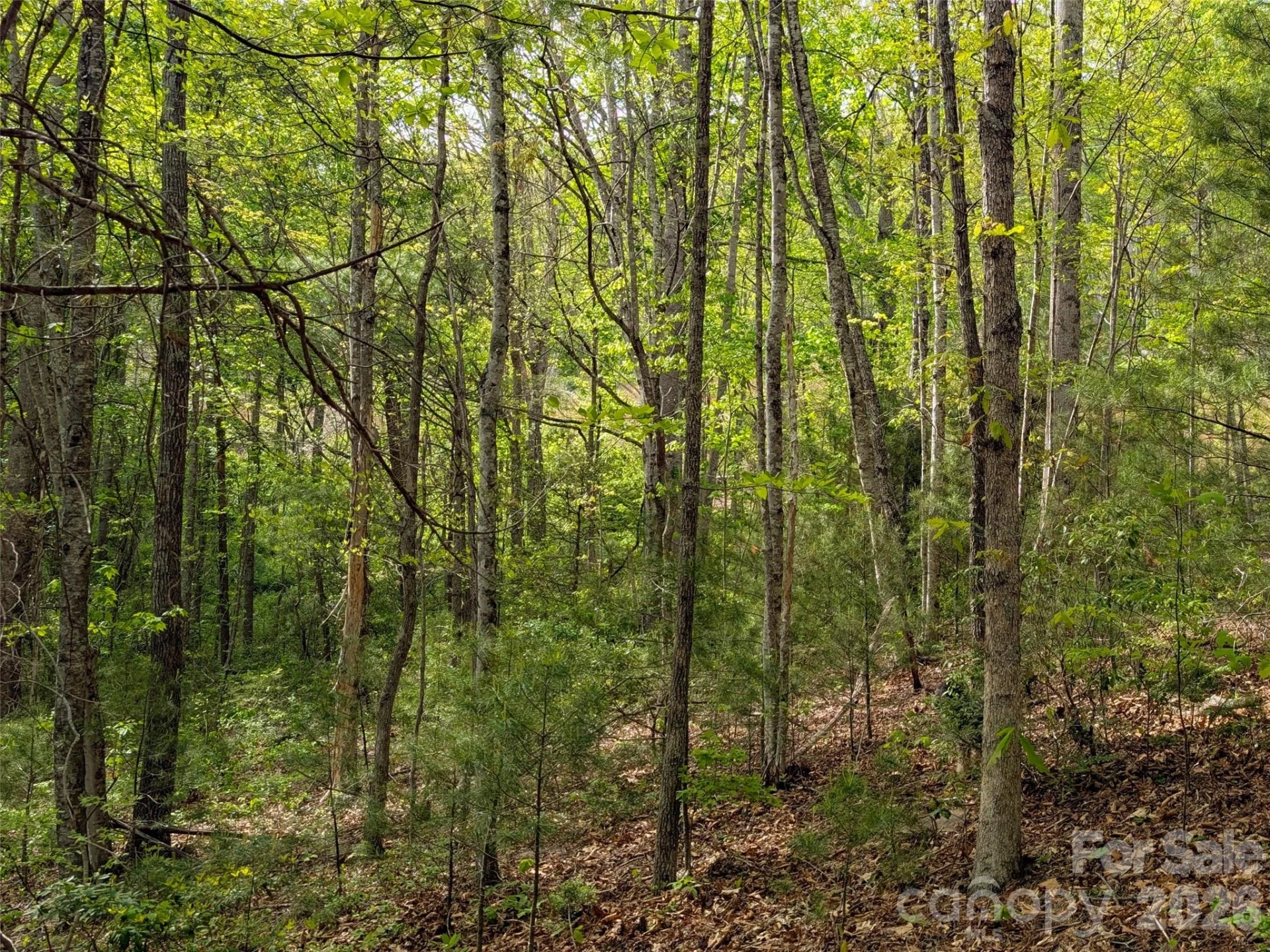 99999 Weldon Way - Photo 11
