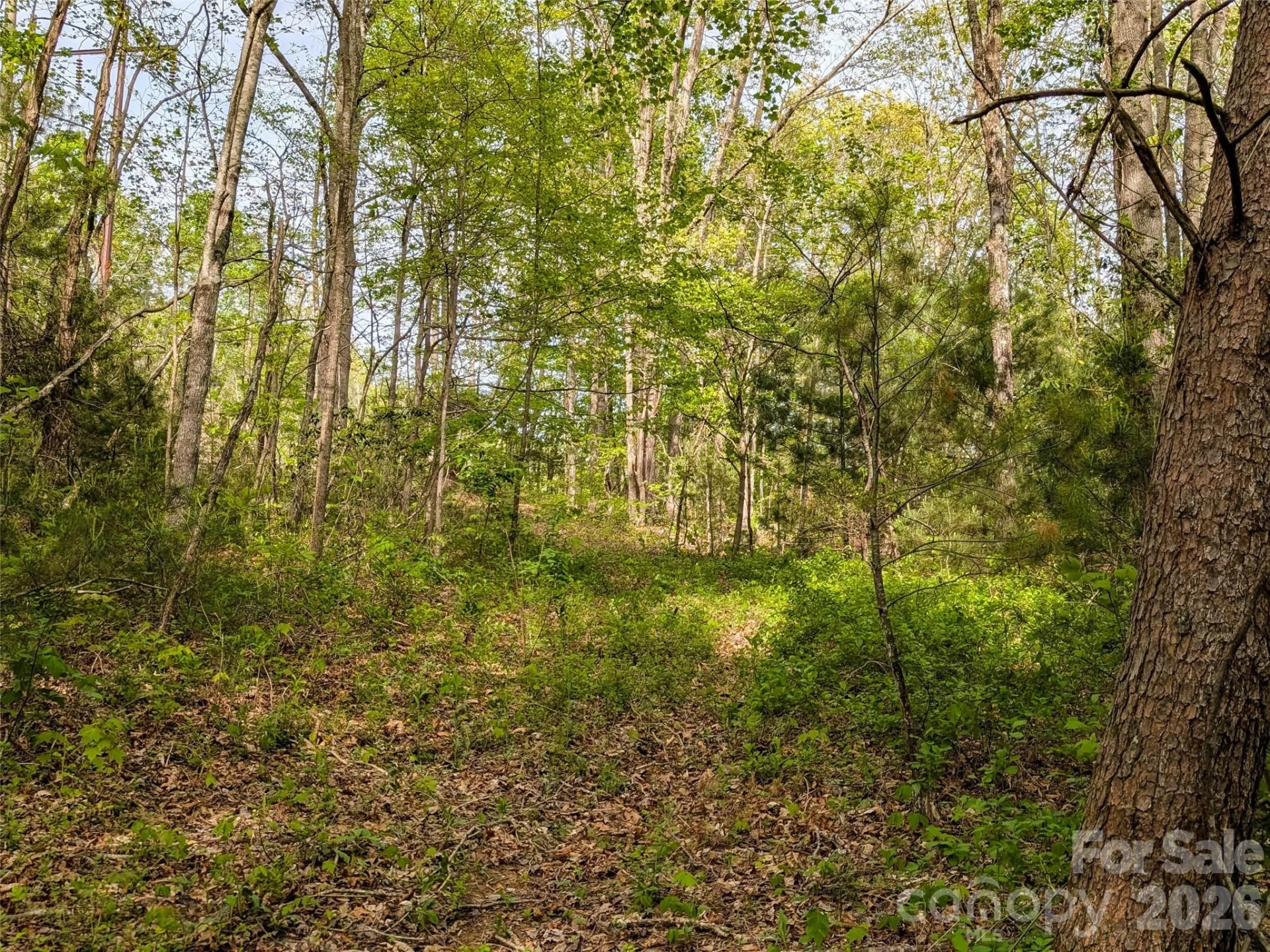 99999 Weldon Way - Photo 12