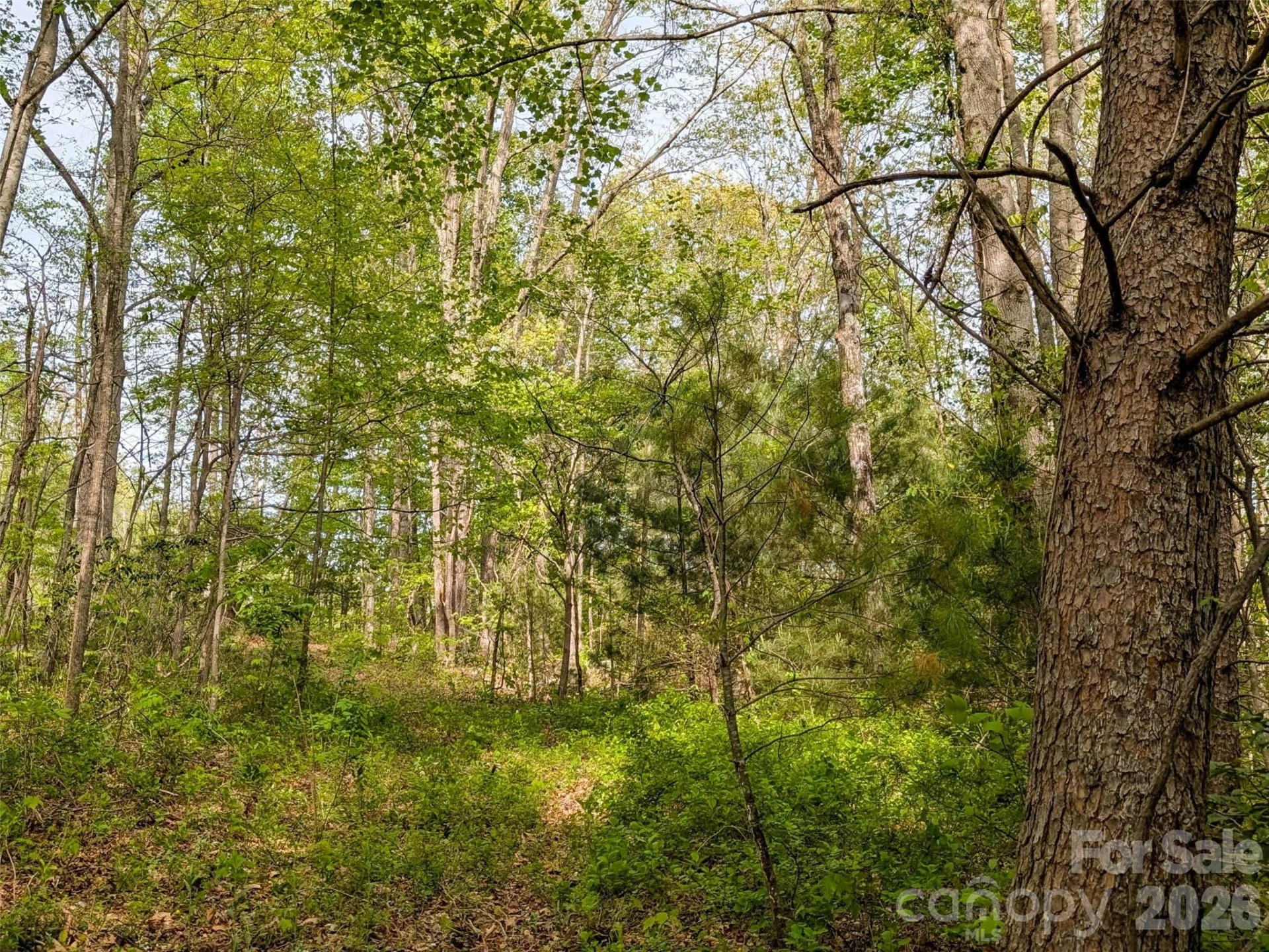 99999 Weldon Way - Photo 13