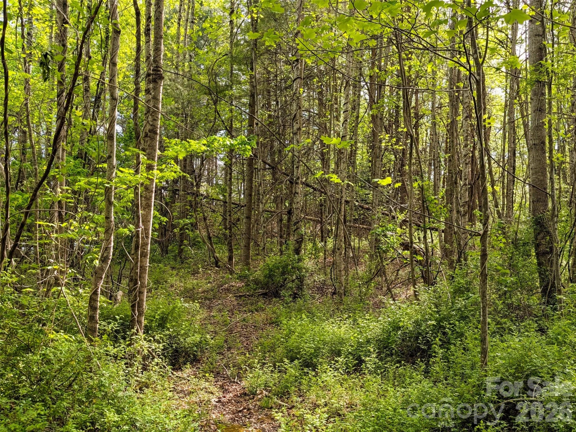 99999 Weldon Way - Photo 16