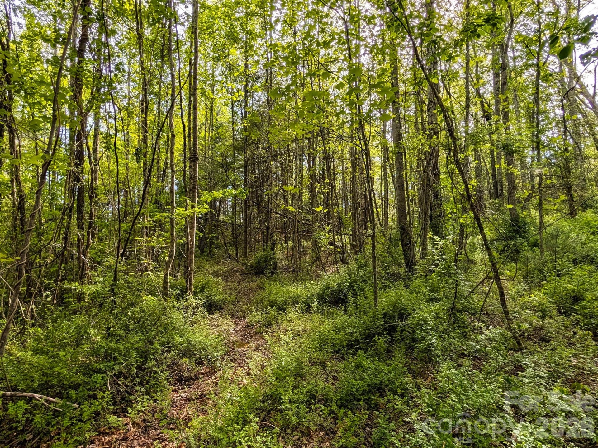 99999 Weldon Way - Photo 17