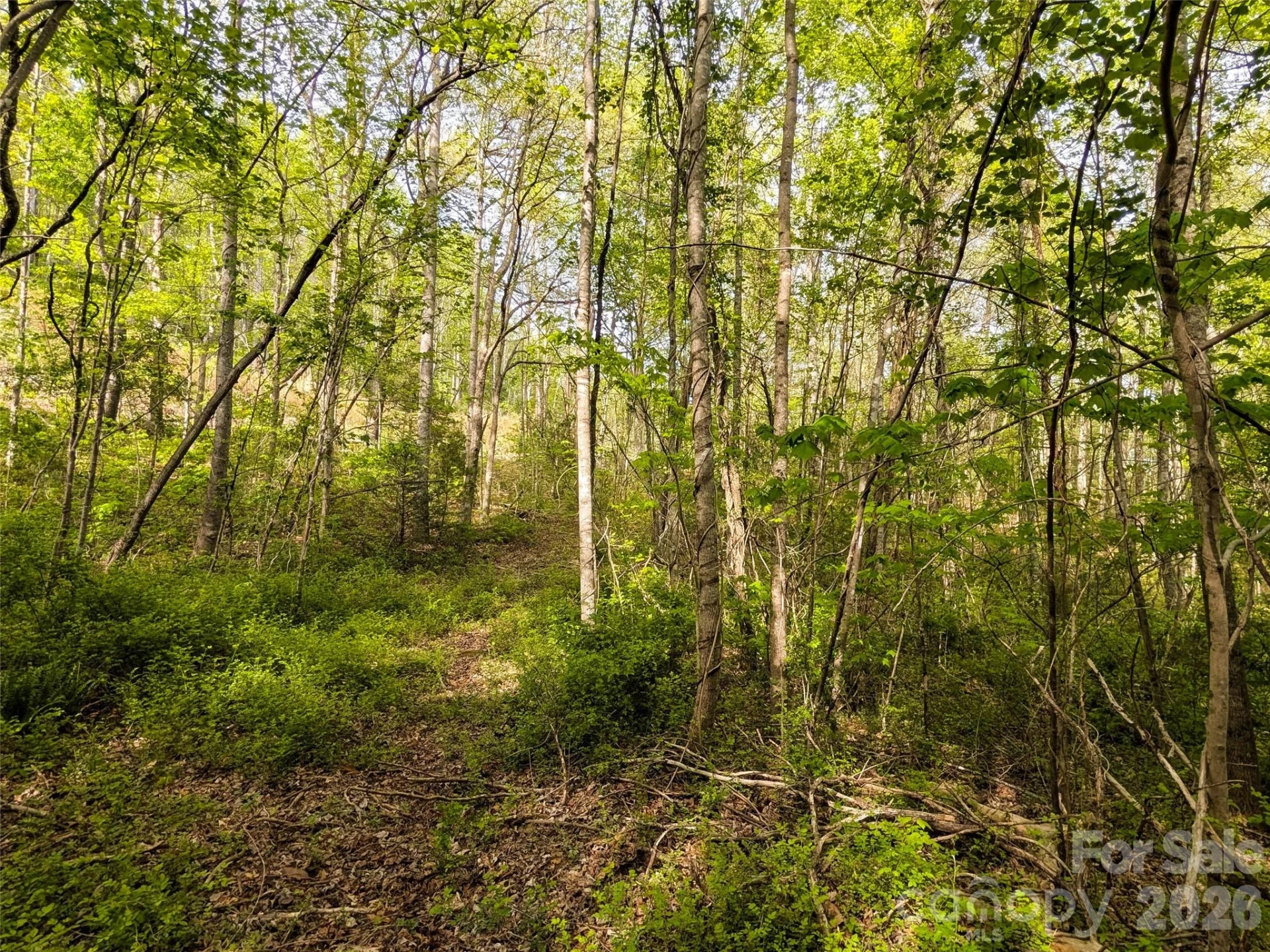 99999 Weldon Way - Photo 18