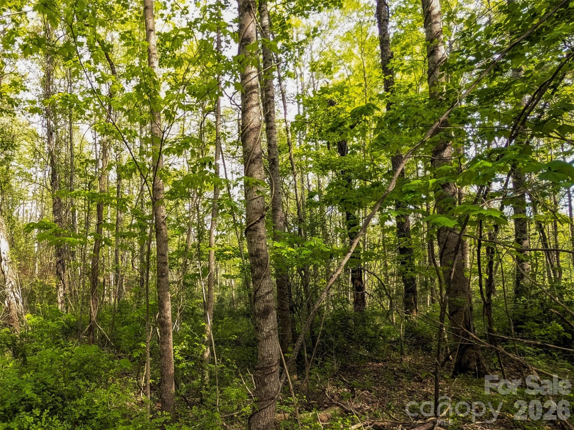 99999 Weldon Way - Photo 19