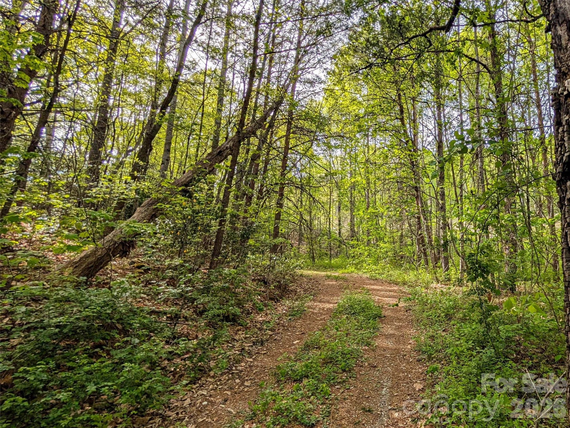 99999 Weldon Way - Photo 3