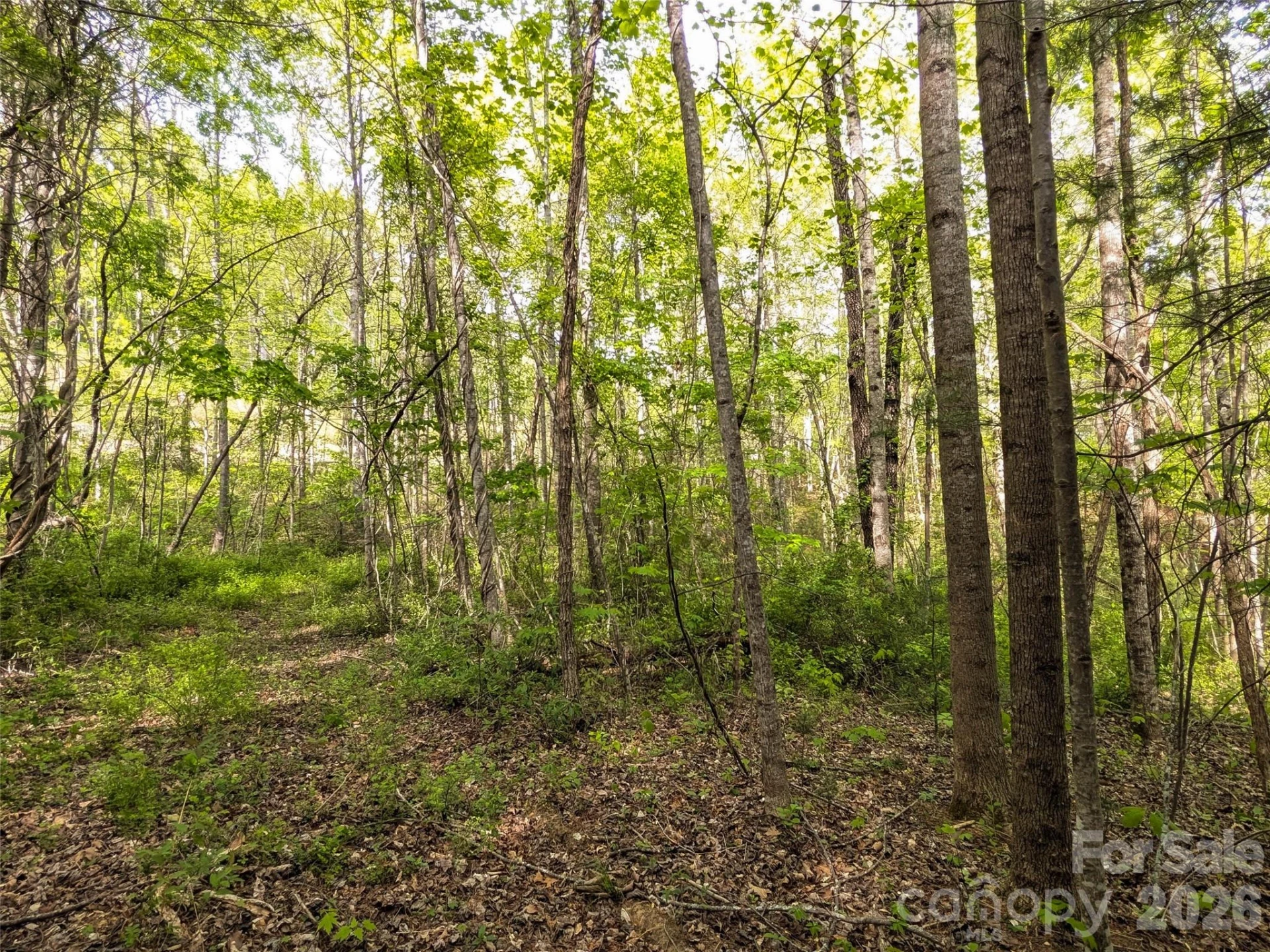 99999 Weldon Way - Photo 21