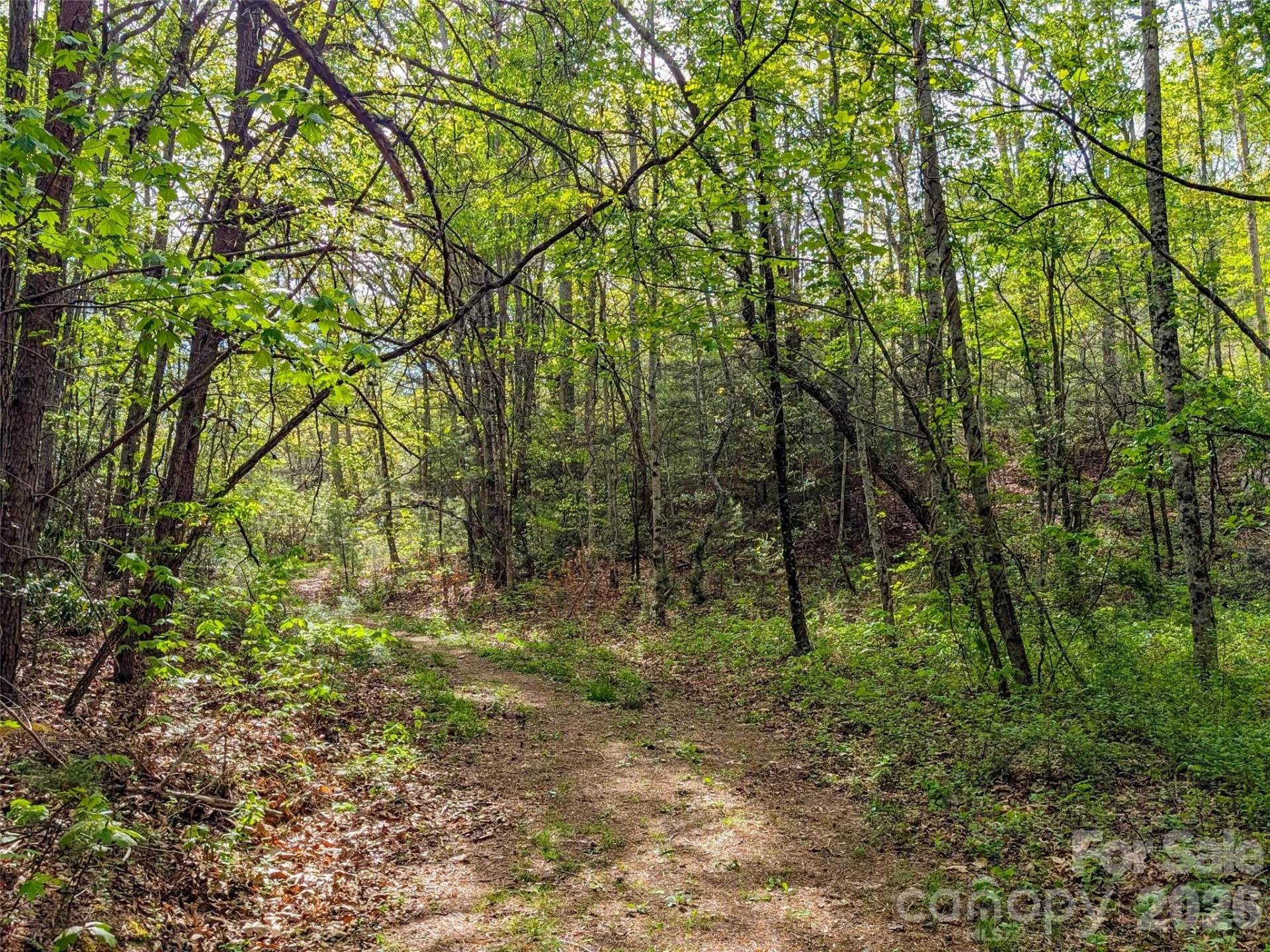 99999 Weldon Way - Photo 22