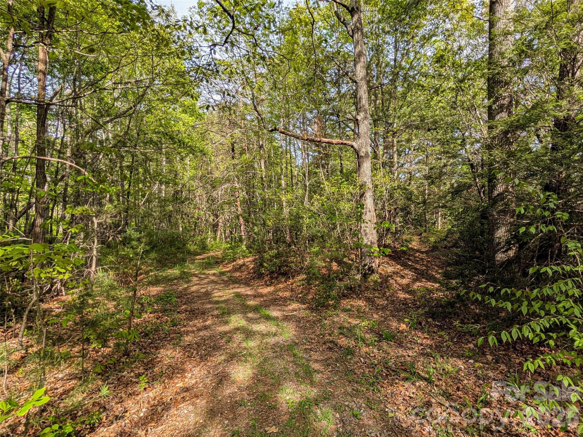 99999 Weldon Way - Photo 24