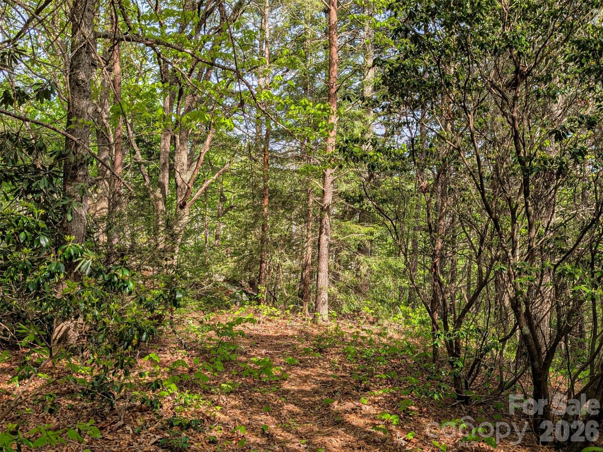 99999 Weldon Way - Photo 25