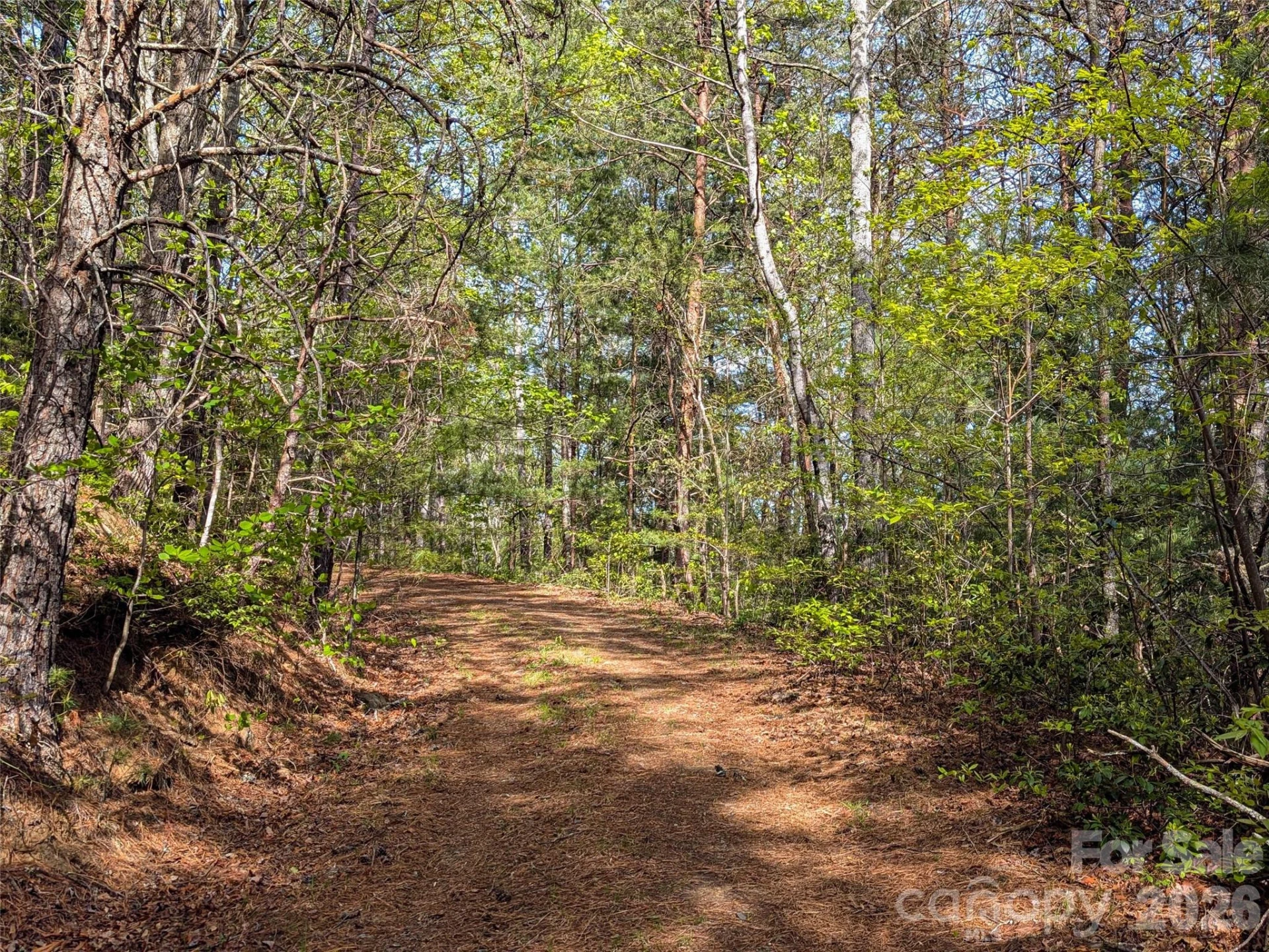 99999 Weldon Way - Photo 30