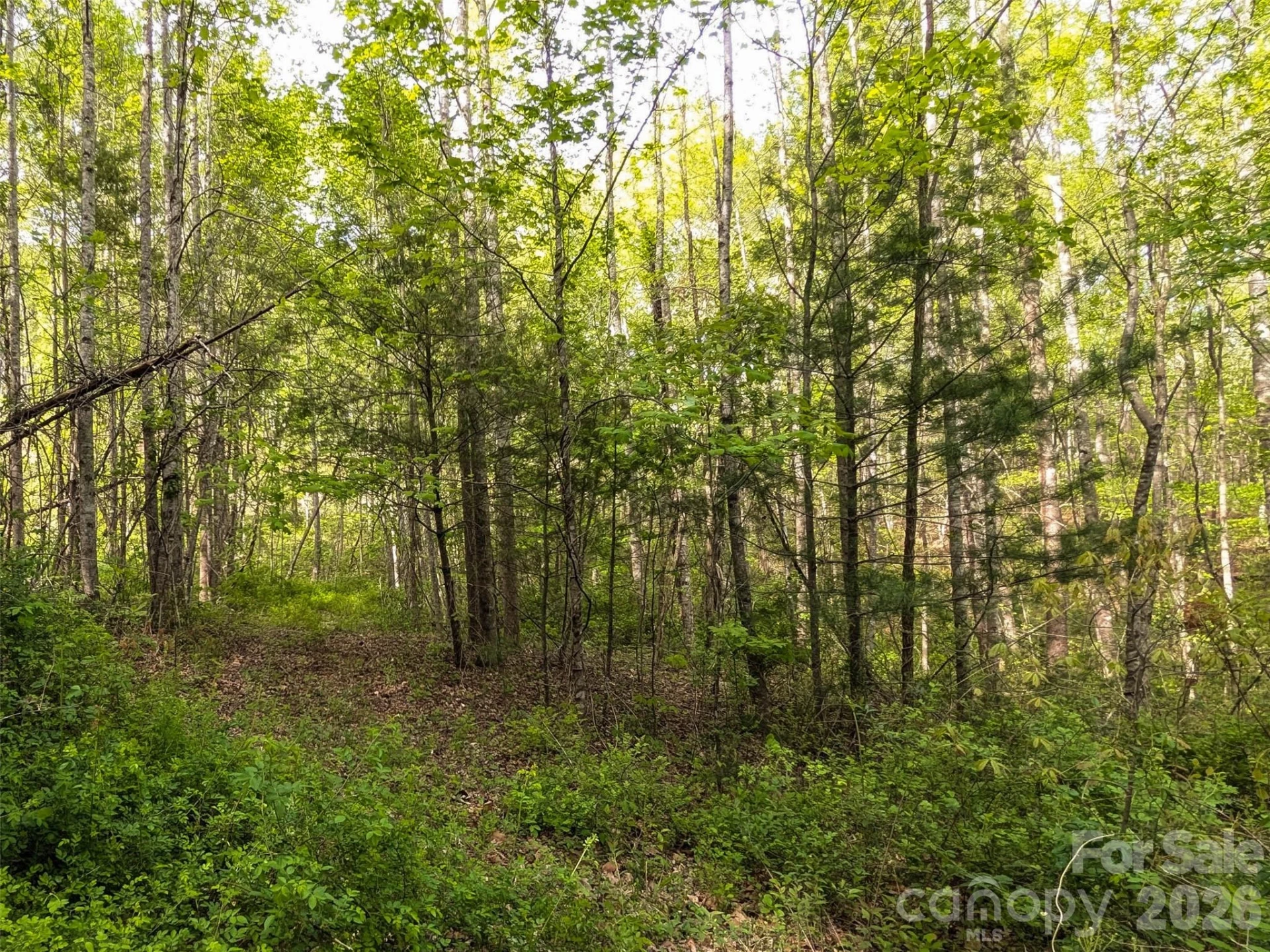 99999 Weldon Way - Photo 4