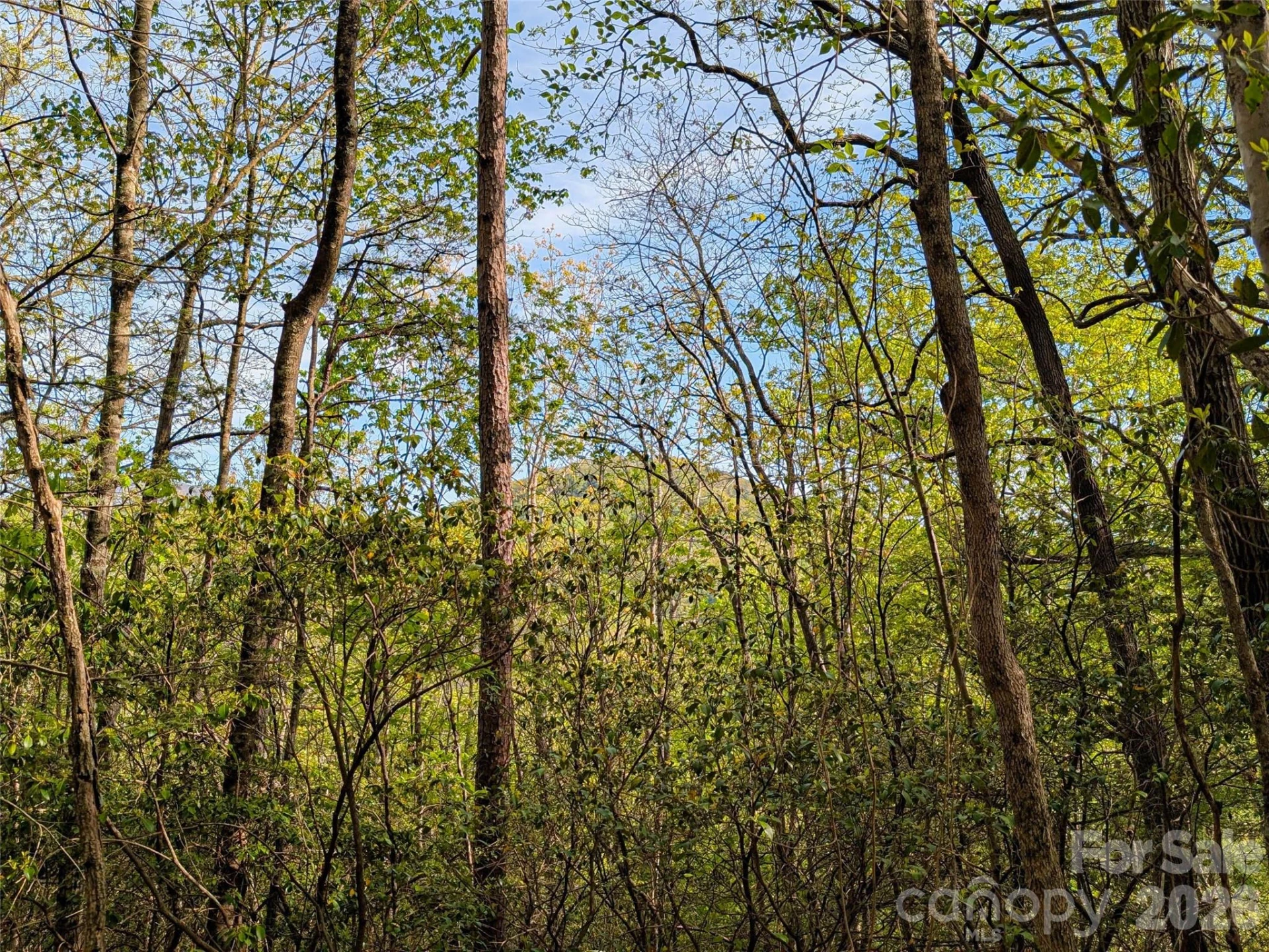 99999 Weldon Way - Photo 31