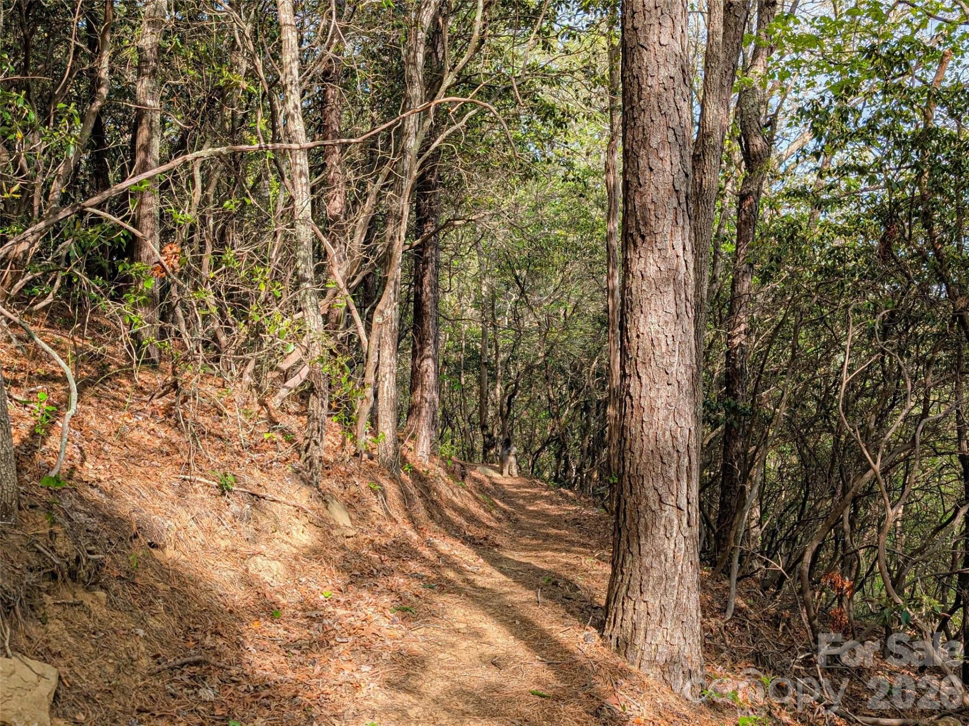 99999 Weldon Way - Photo 32