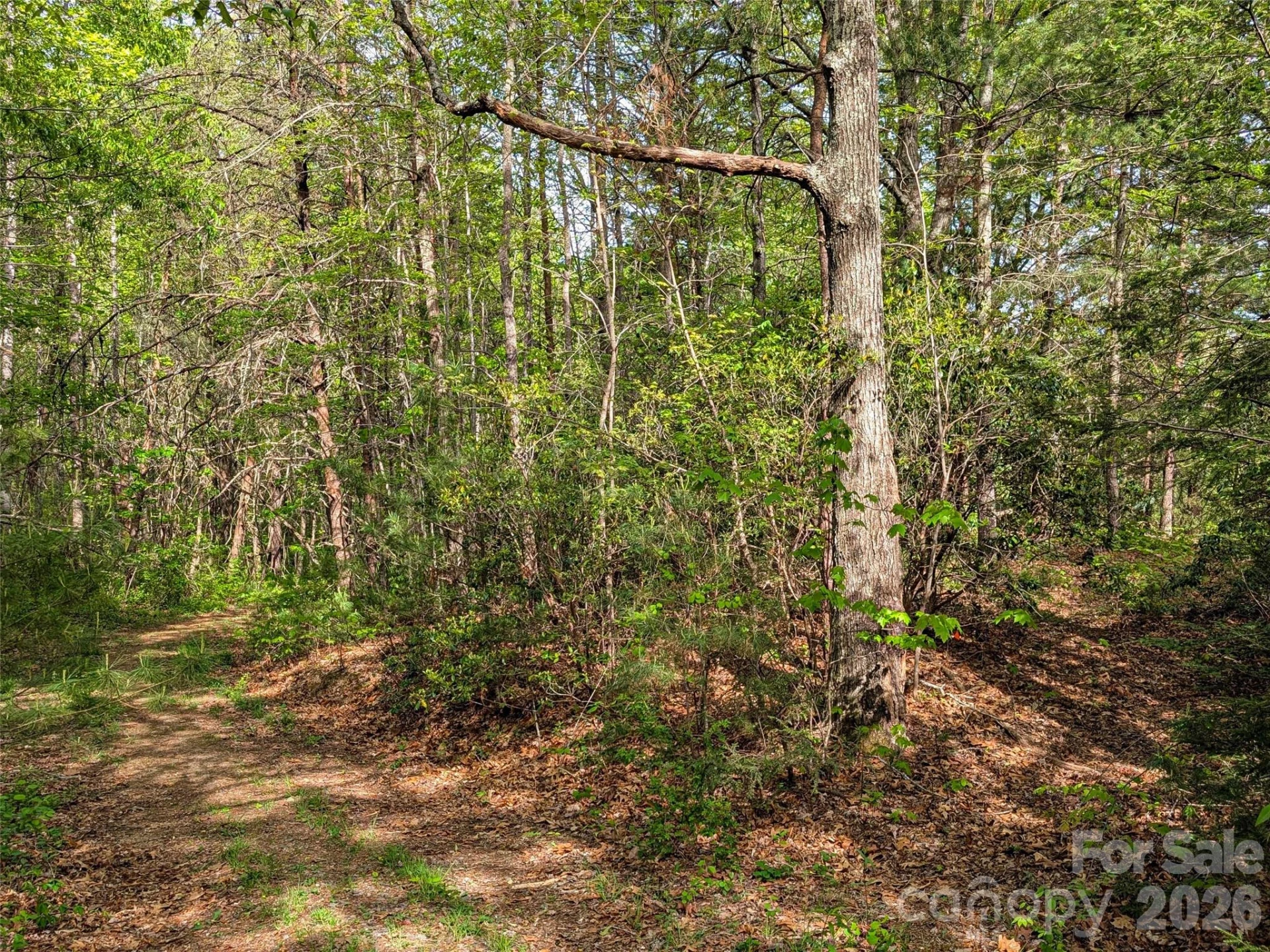 99999 Weldon Way - Photo 6
