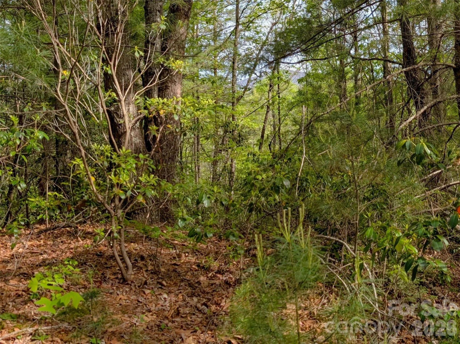 99999 Weldon Way - Photo 7