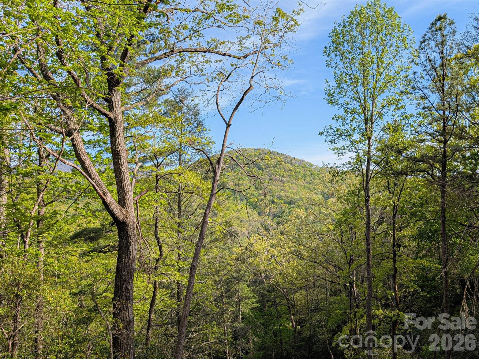 99999 Weldon Way - Photo 8