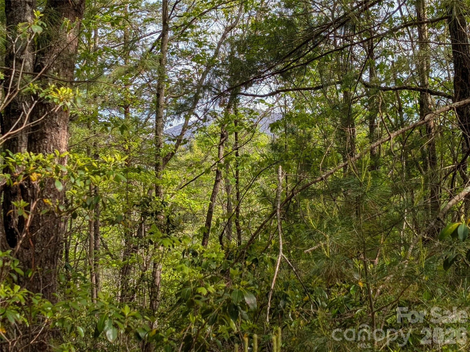 99999 Weldon Way - Photo 10