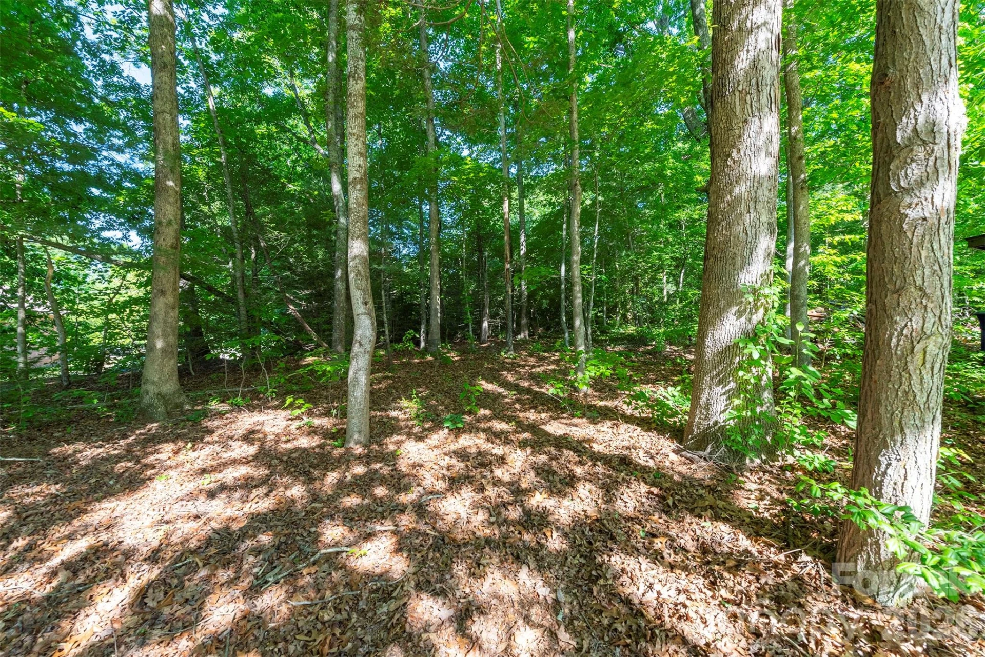 34 Goldmont Street - Photo 31