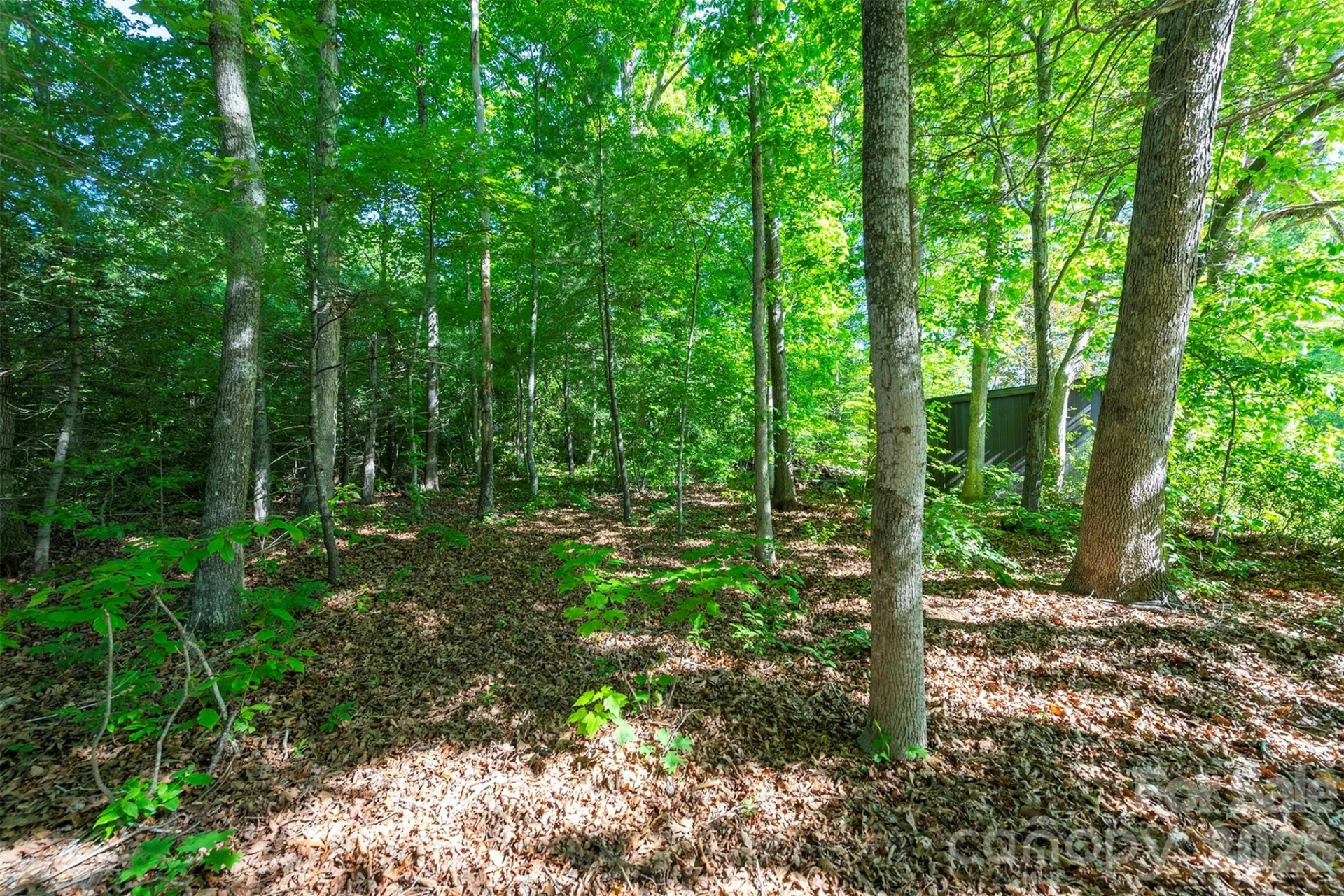 34 Goldmont Street - Photo 32