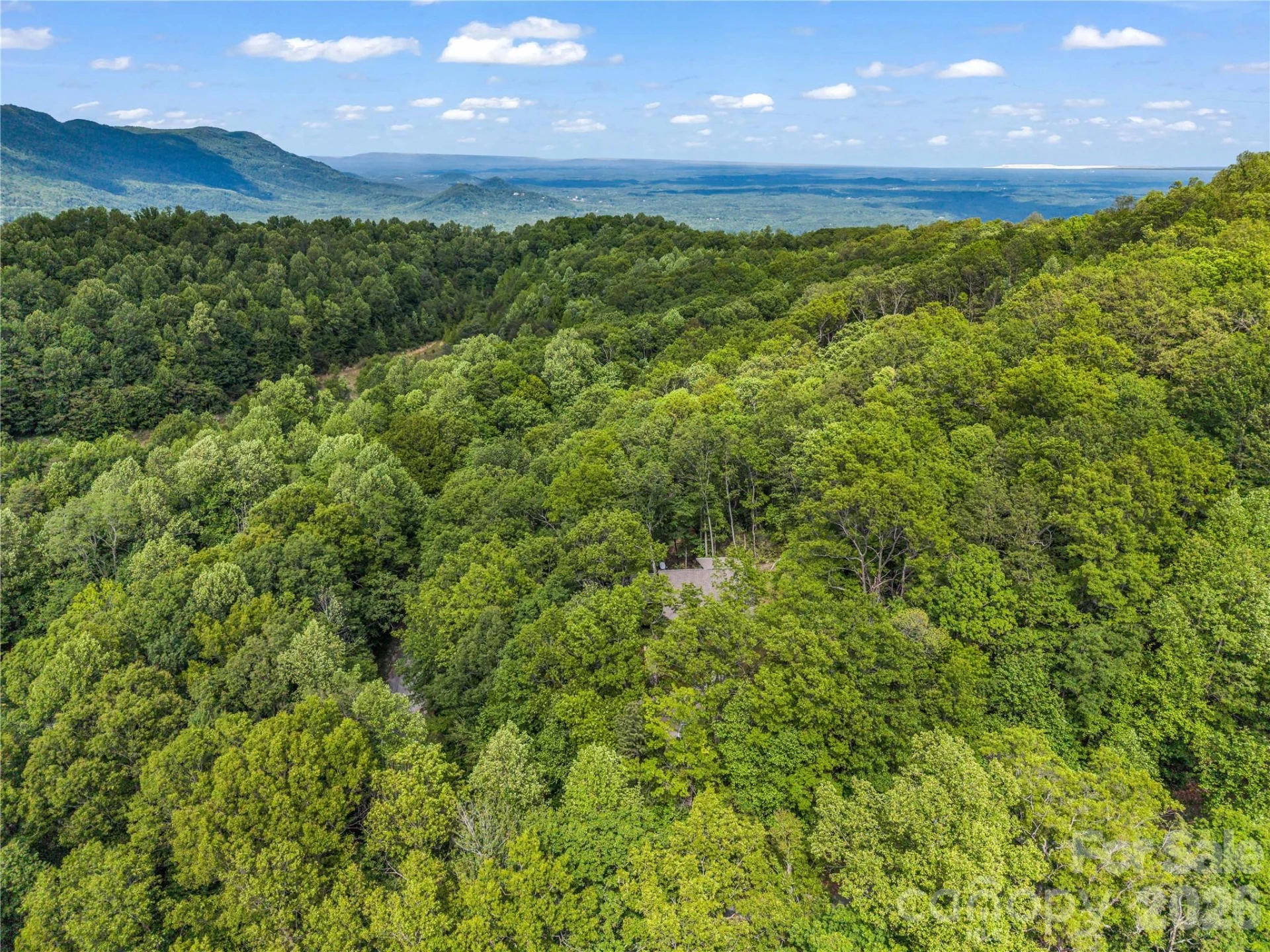 737 Melrose Mountain Road - Photo 8