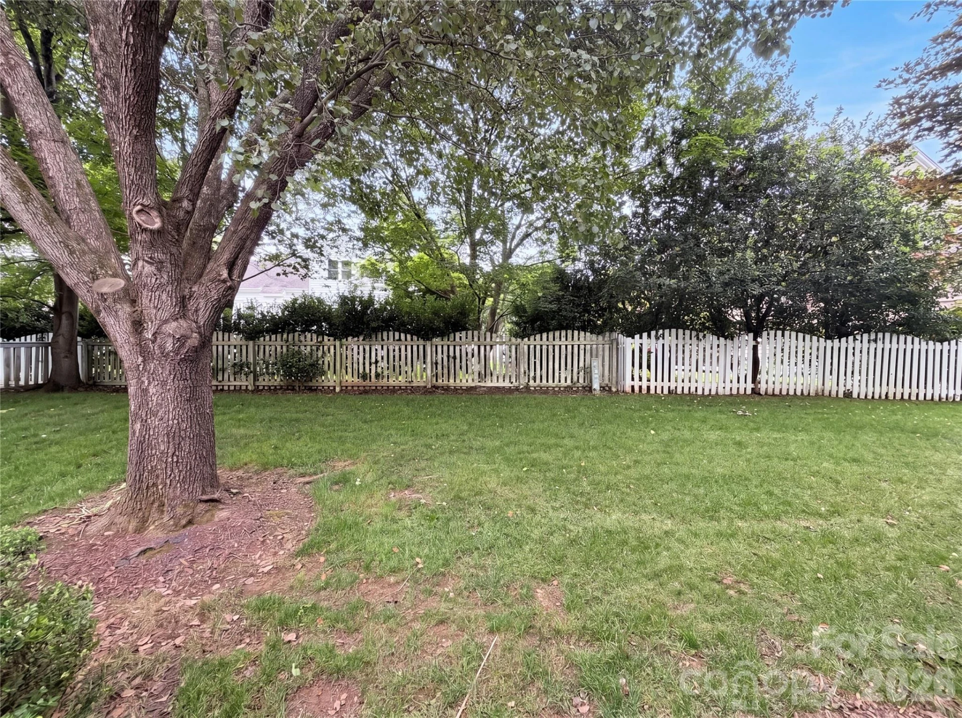 7906 Elphin Court - Photo 19