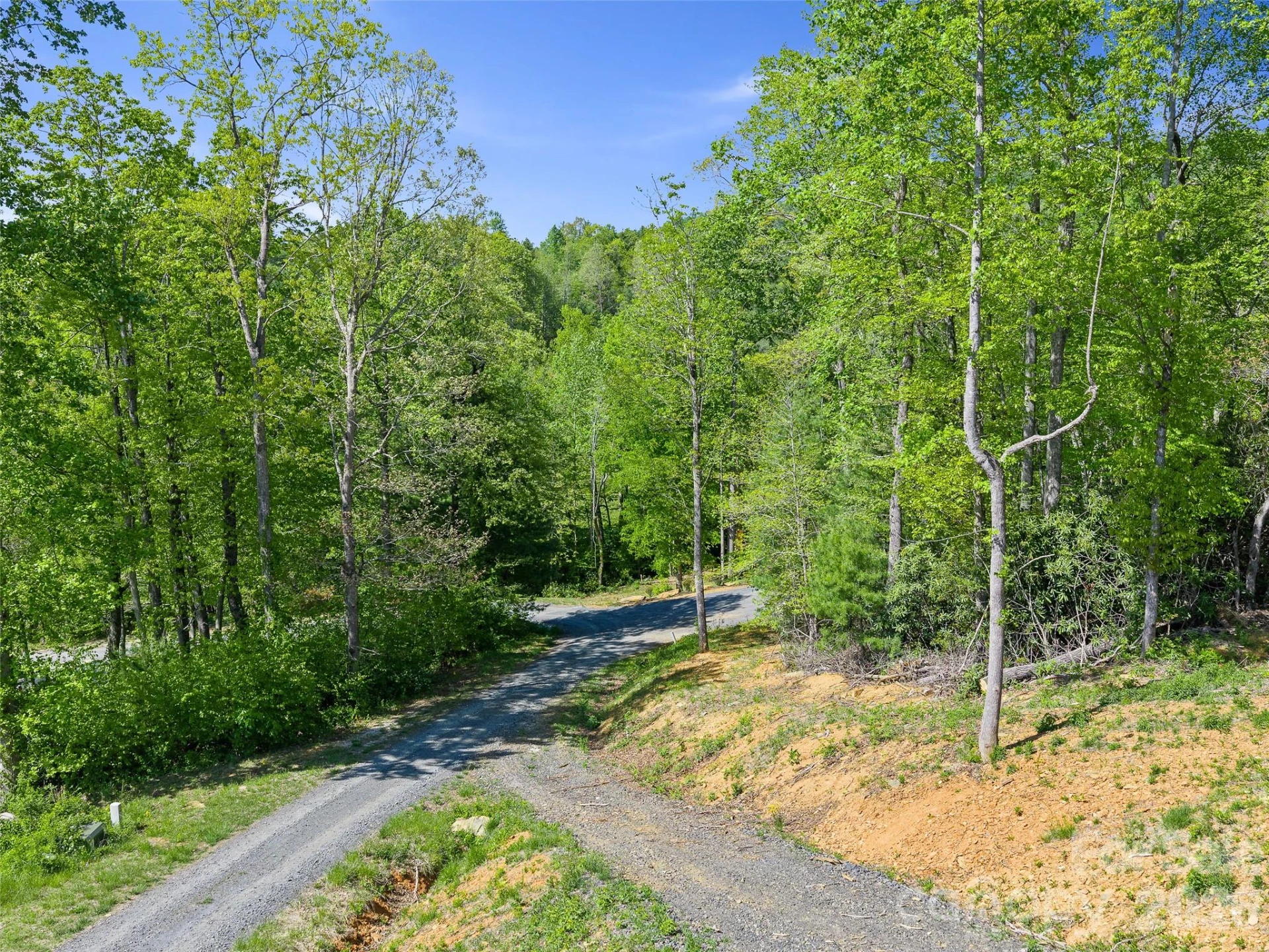 85 Shangrila Trail #2 - Photo 6