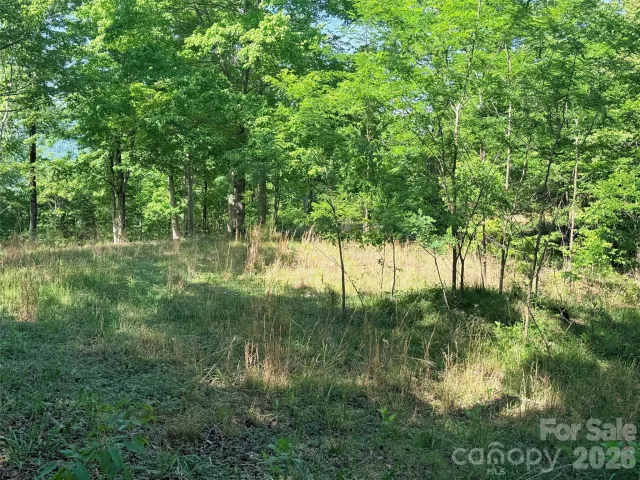 Lot 8 High Rock Ridge, Lake Lure, NC, 28746