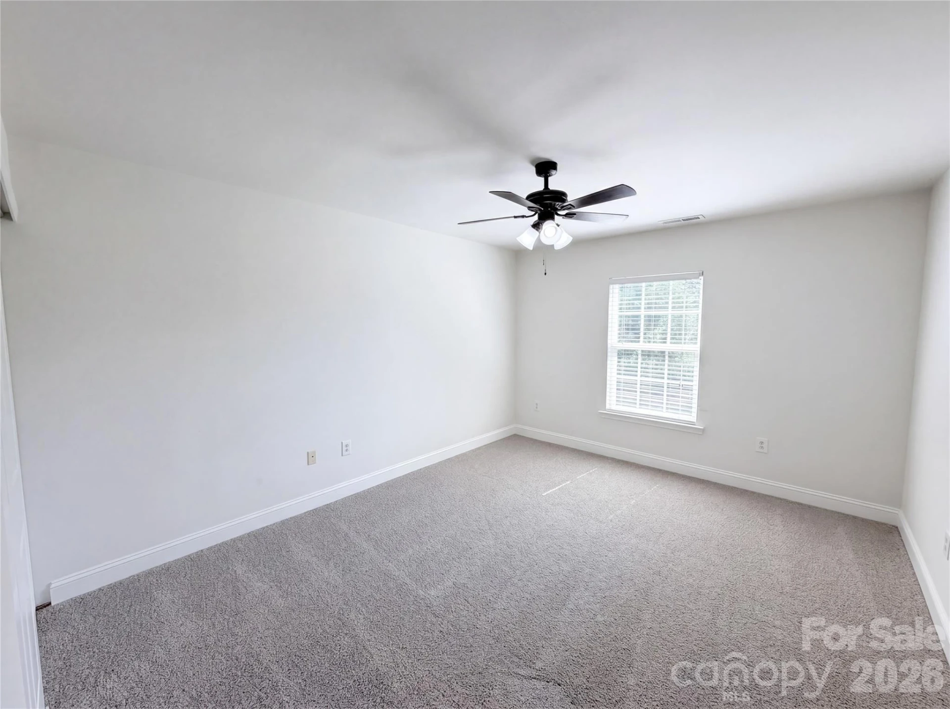 10016 Markus Drive - Photo 14