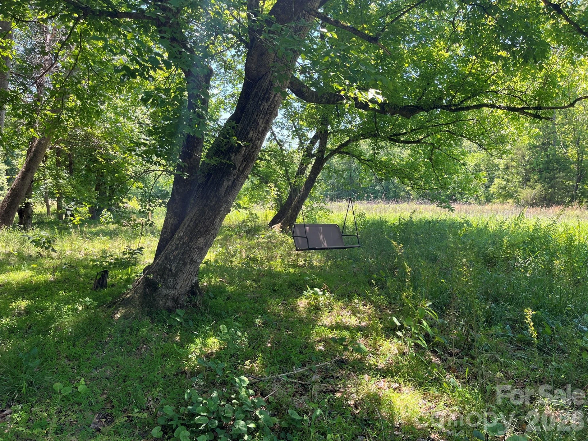 183 Cedarberry Glen - Photo 26