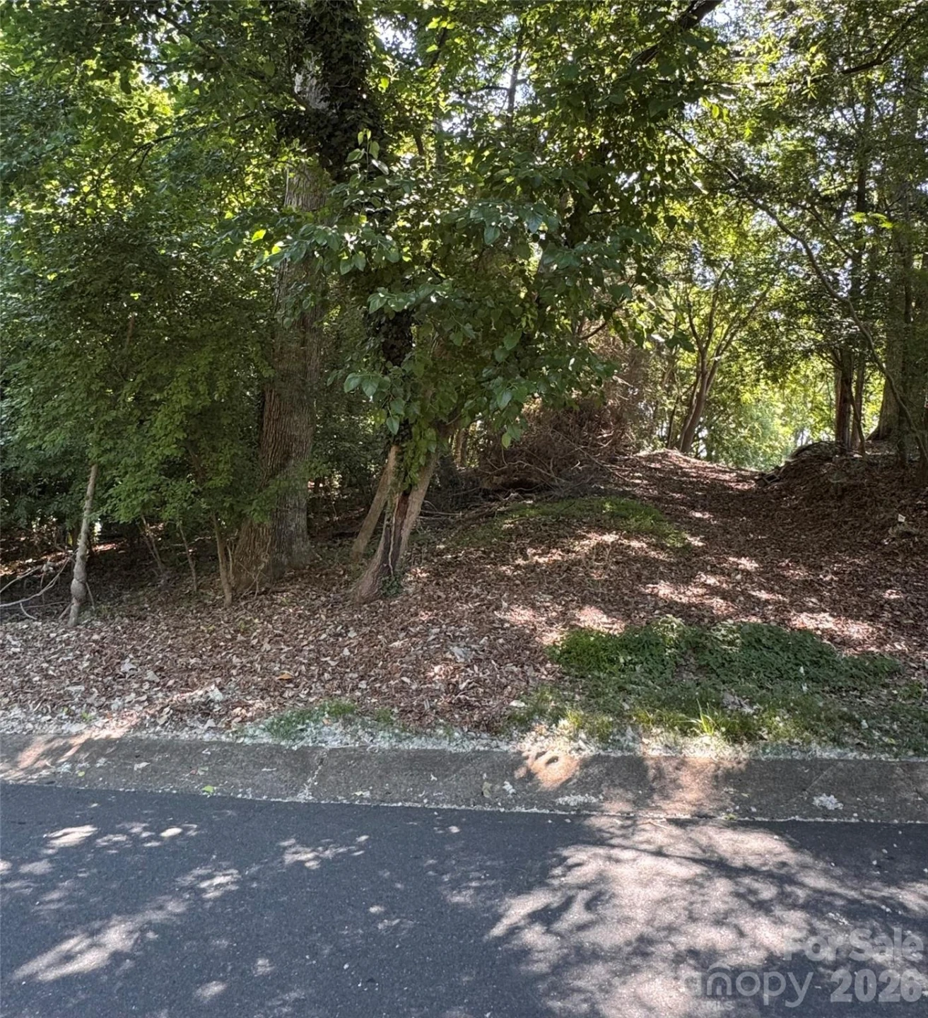 0 Maymont Drive #4 - Photo 6