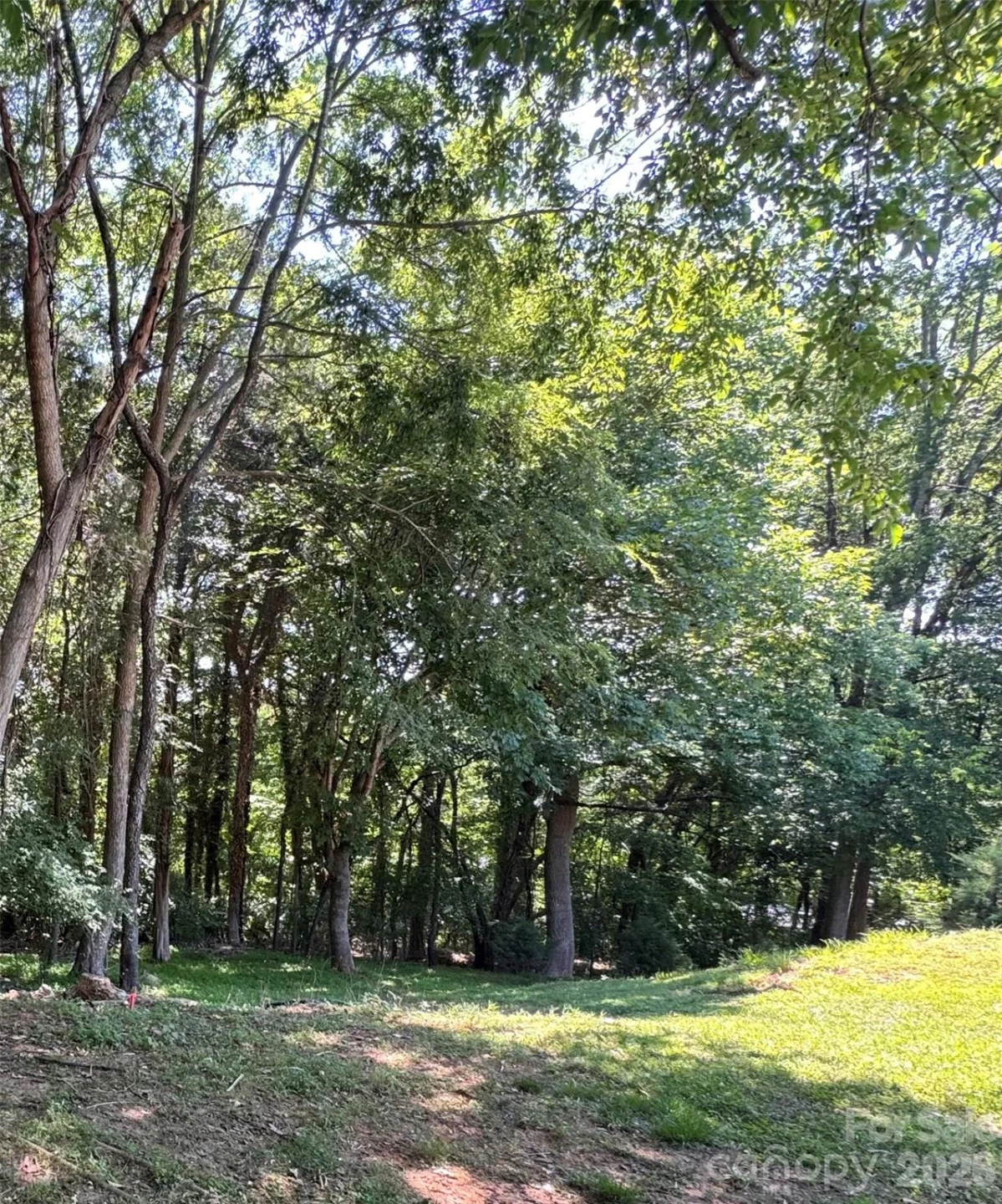 0 Maymont Drive #4 - Photo 8