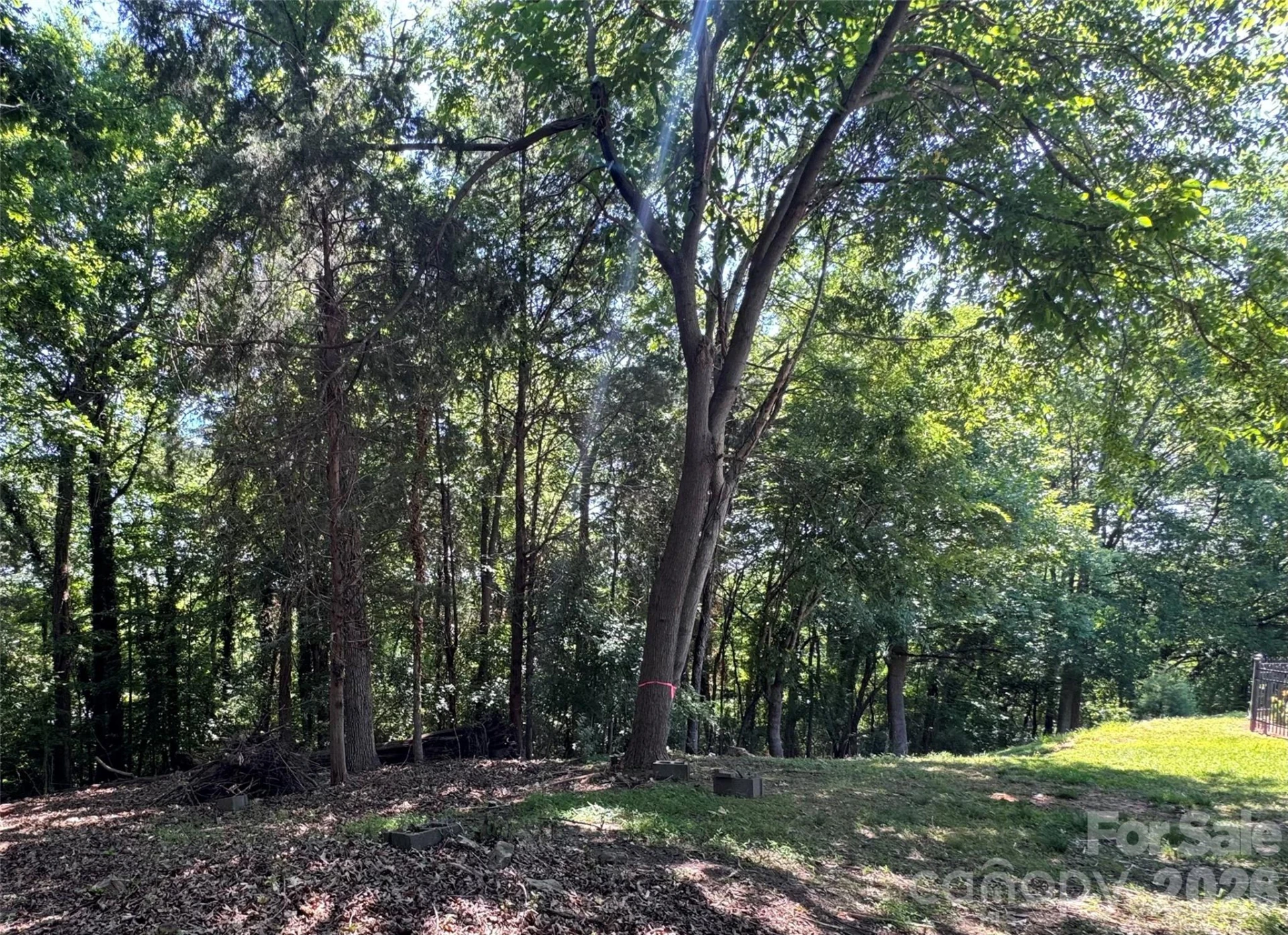 0 Maymont Drive #4 - Photo 10