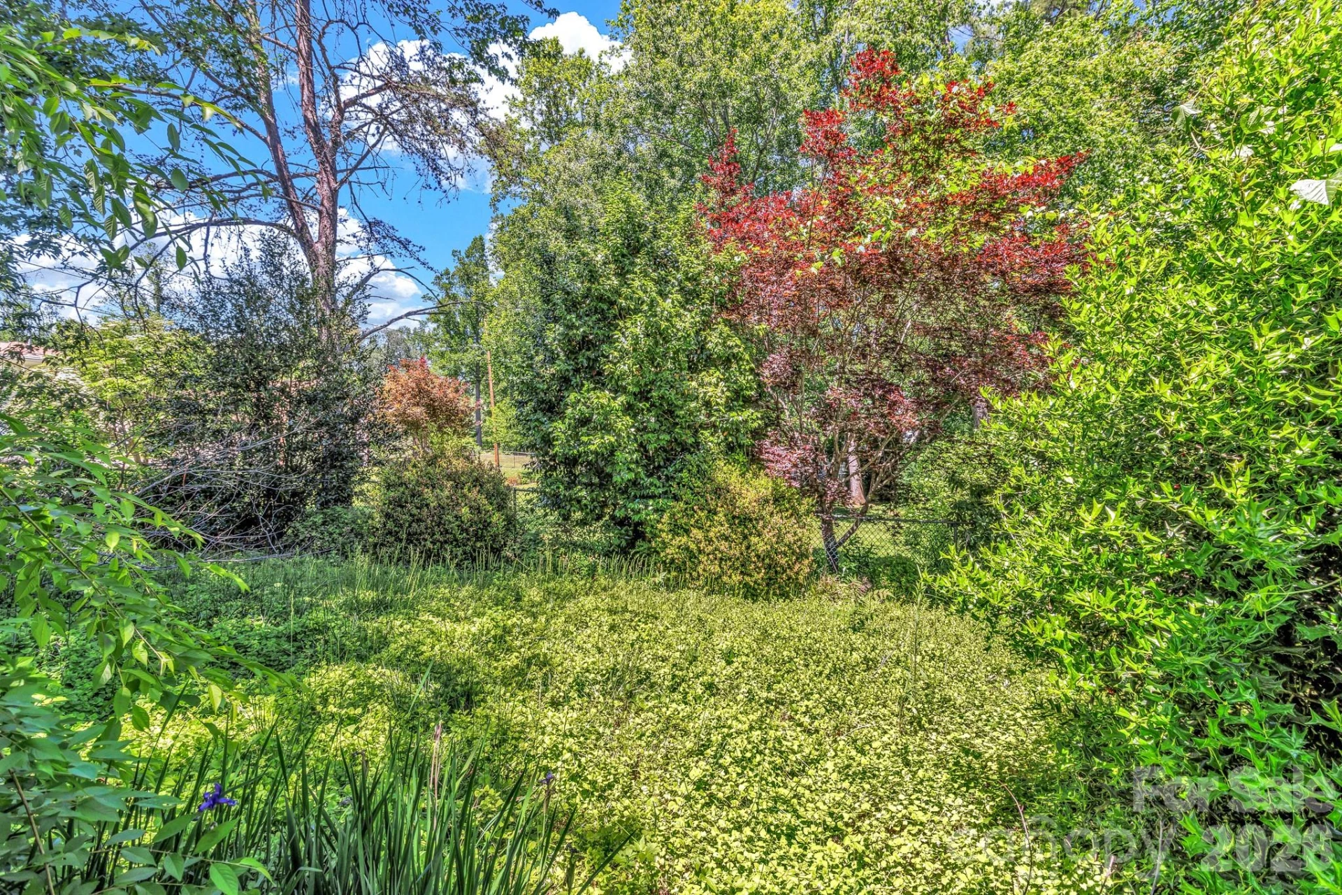 105 Amelia Drive - Photo 27