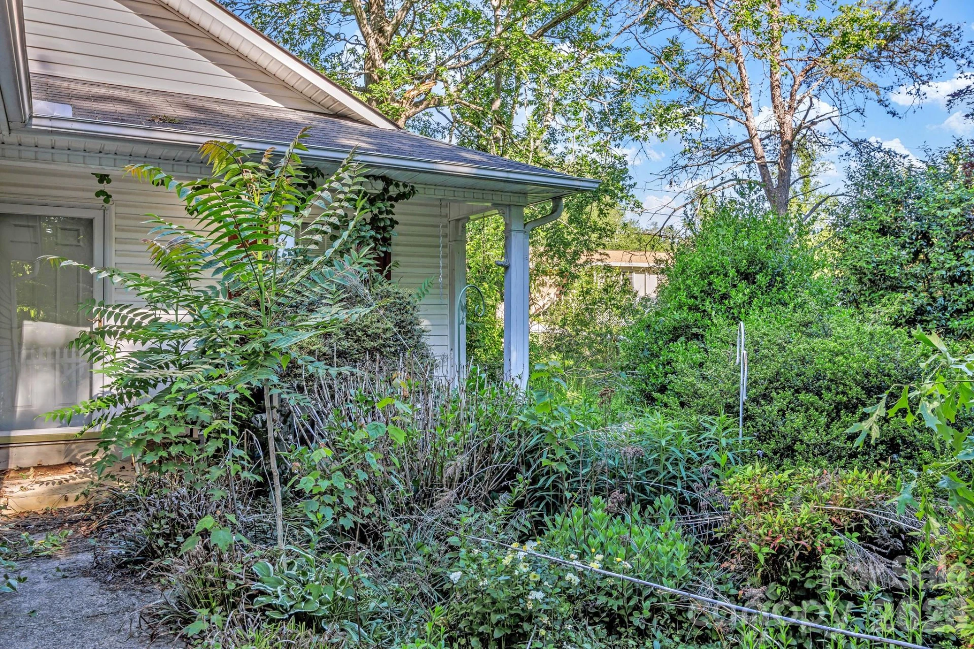 105 Amelia Drive - Photo 5