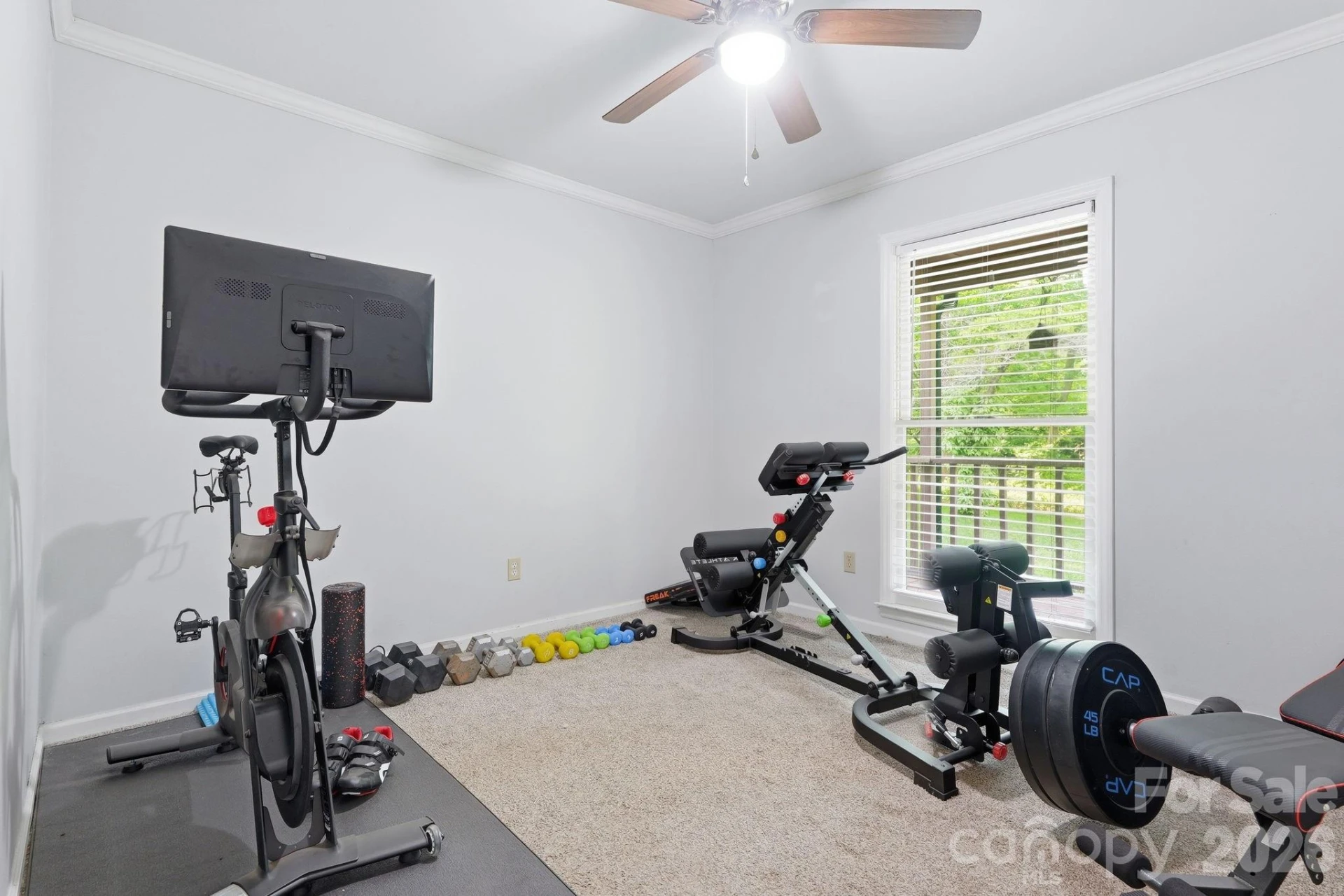 5347 Haney Road - Photo 13