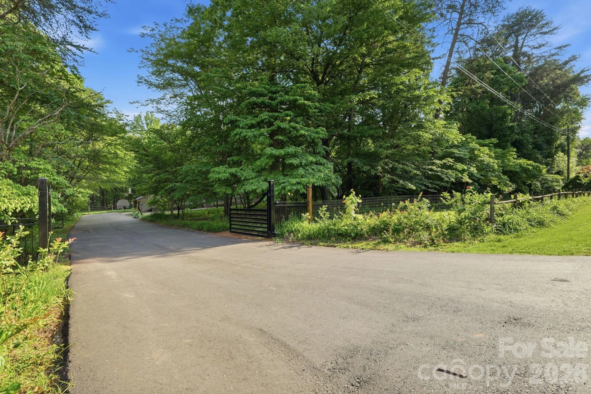5347 Haney Road - Photo 3