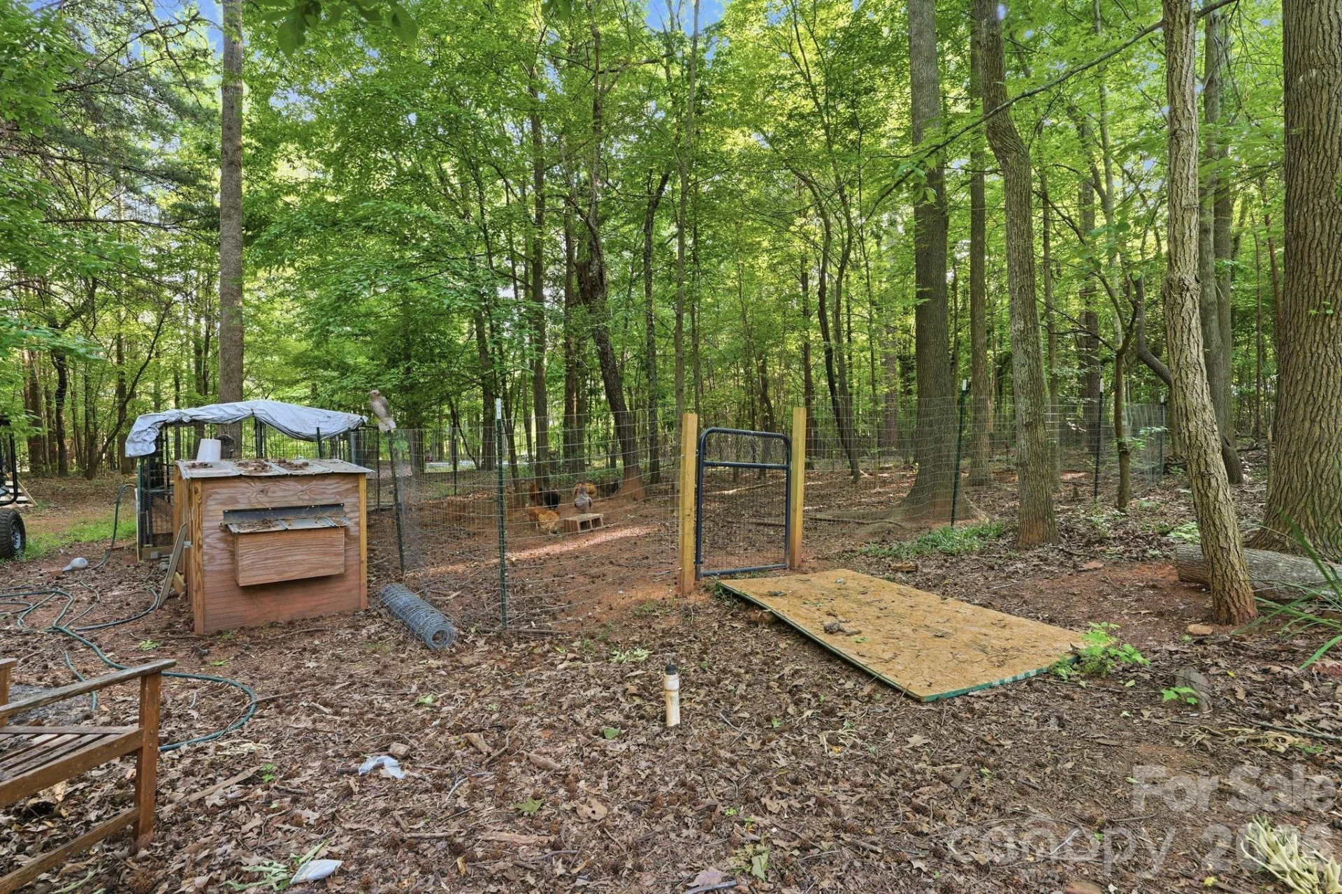 5347 Haney Road - Photo 32