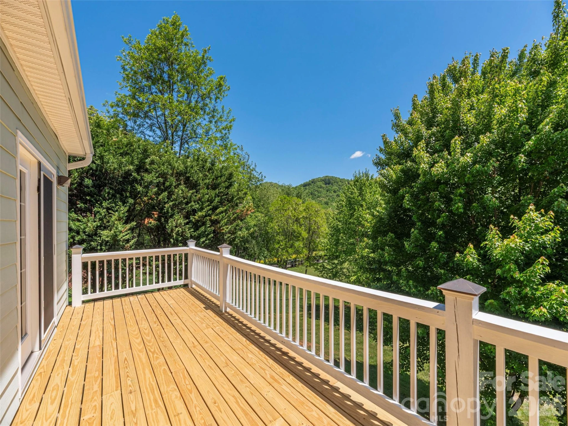 16 Chinaberry Court - Photo 17