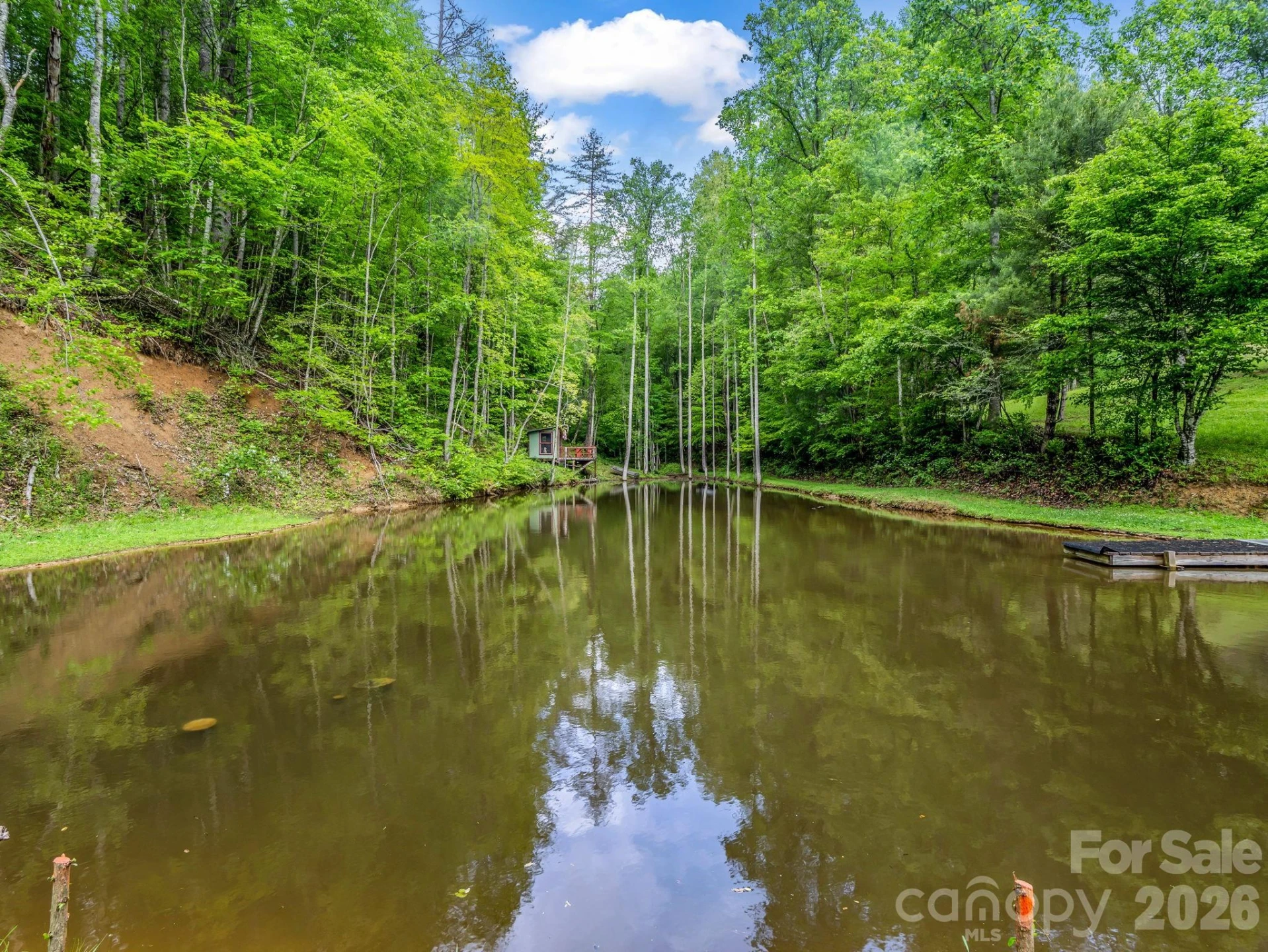 360 Shadow Lane - Photo 43