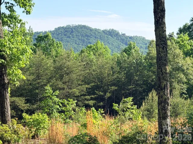 Lot 11 Brookside Parkway, Lake Lure, NC, 28746