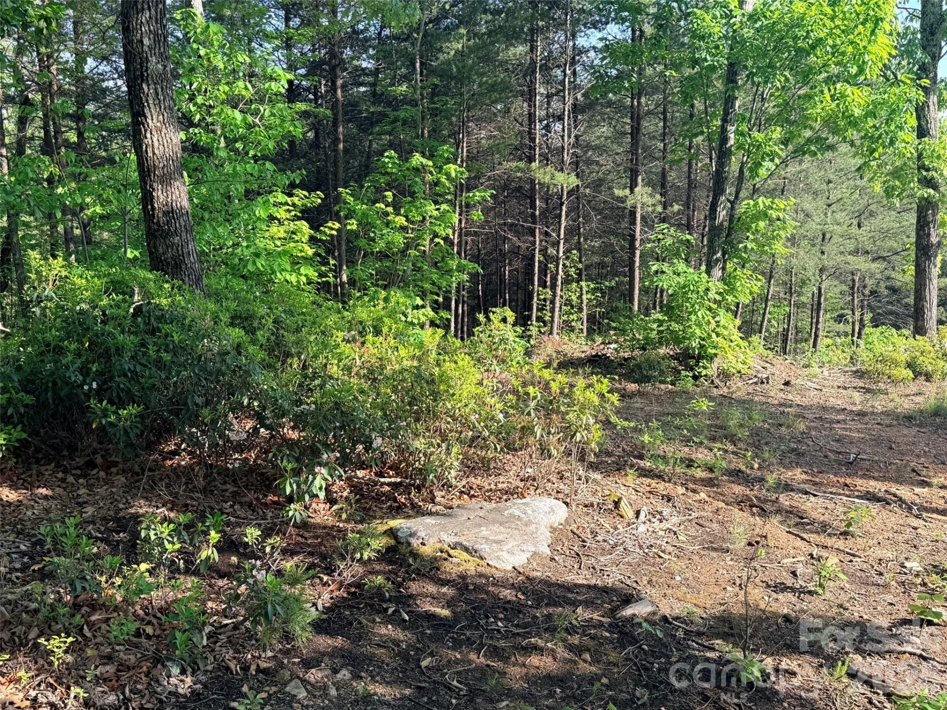 Lot 11 Brookside Parkway - Photo 2