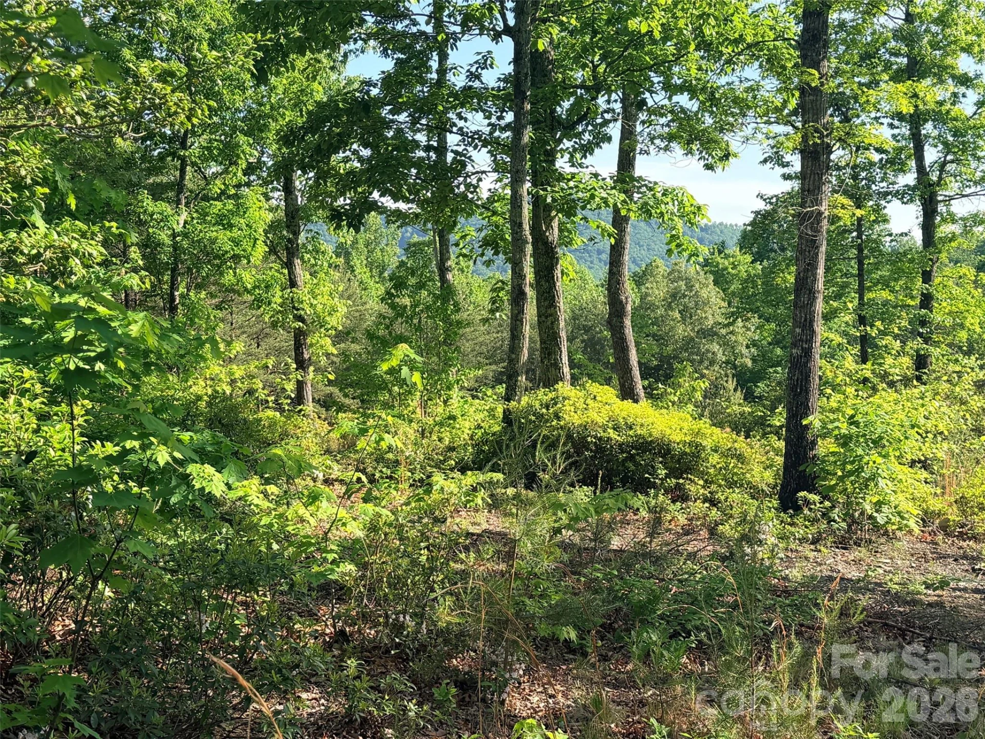 Lot 11 Brookside Parkway - Photo 11