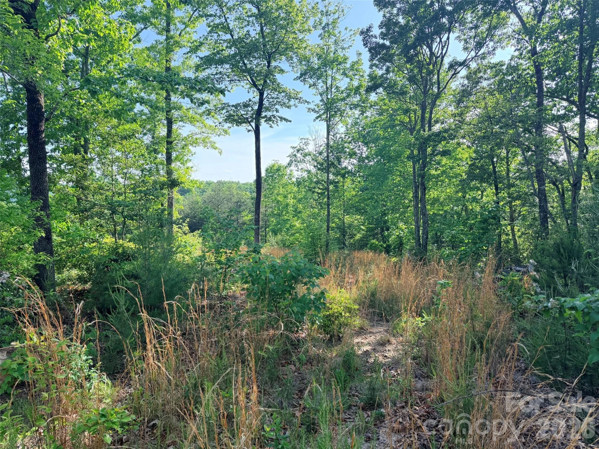 Lot 11 Brookside Parkway - Photo 12