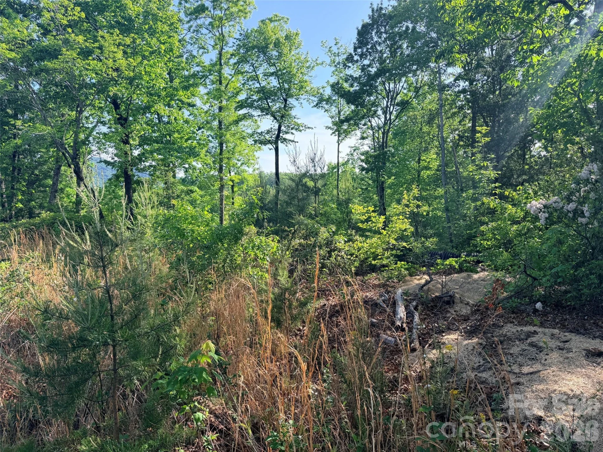 Lot 11 Brookside Parkway - Photo 13