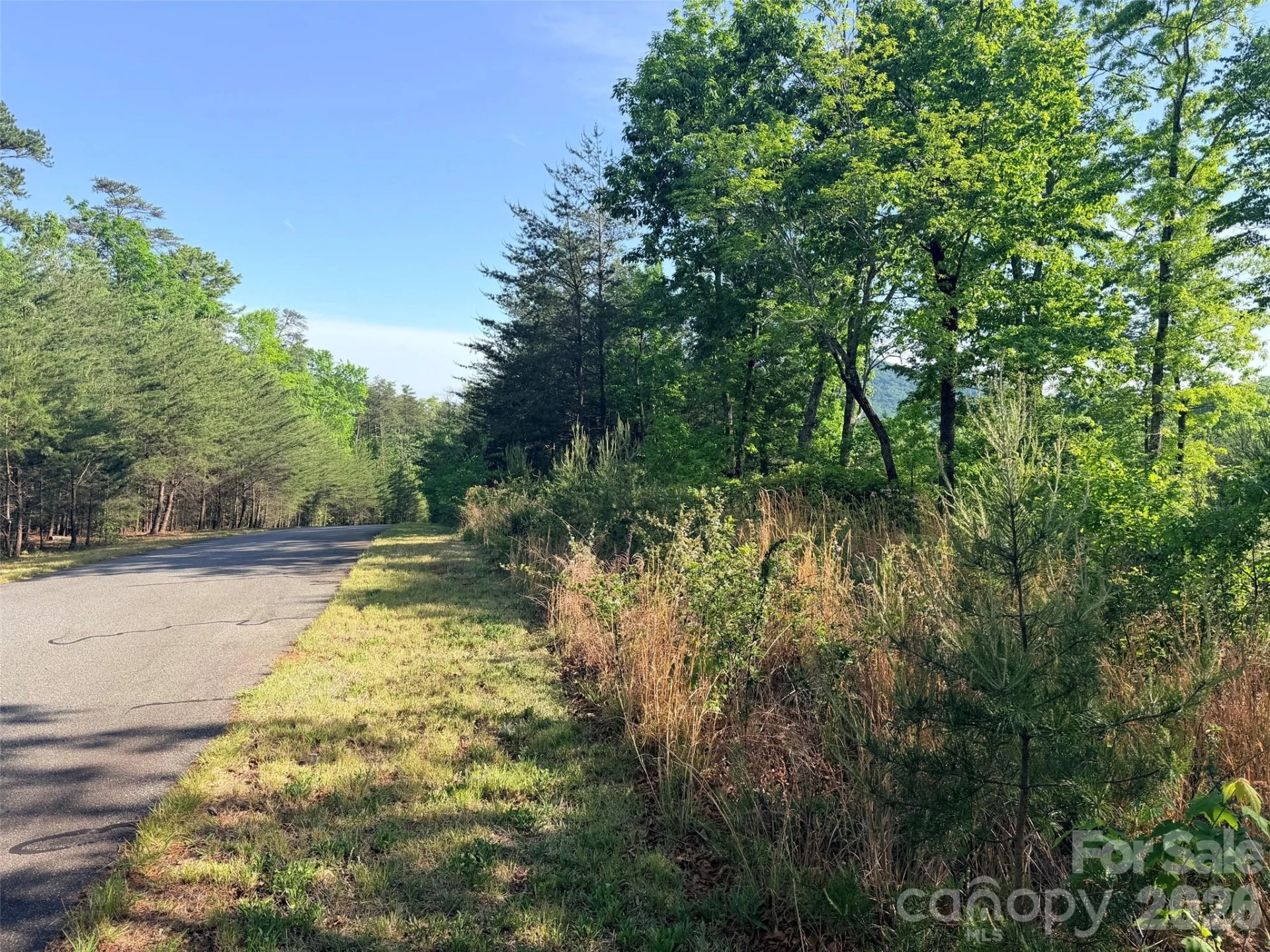 Lot 11 Brookside Parkway - Photo 14