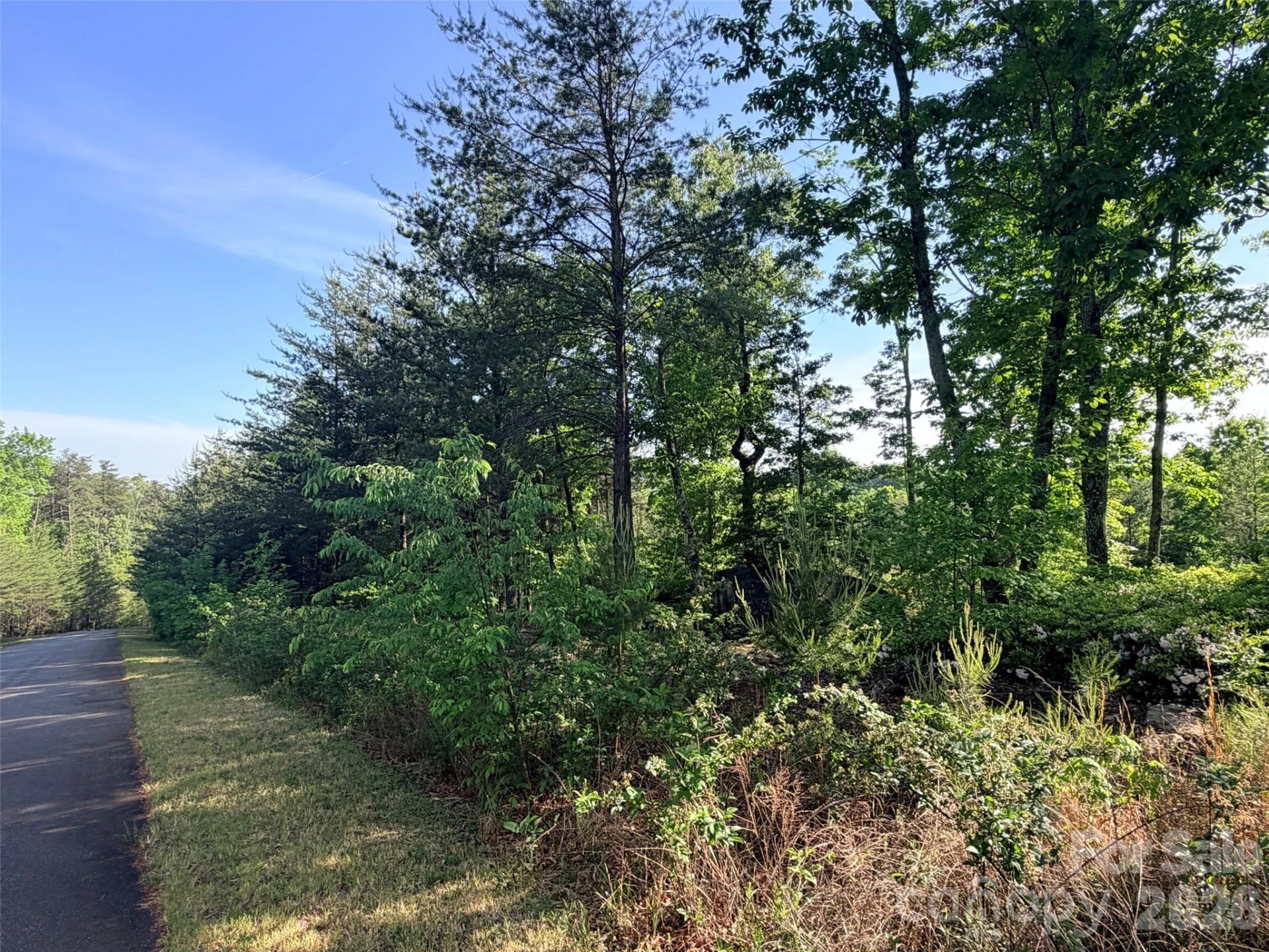 Lot 11 Brookside Parkway - Photo 15
