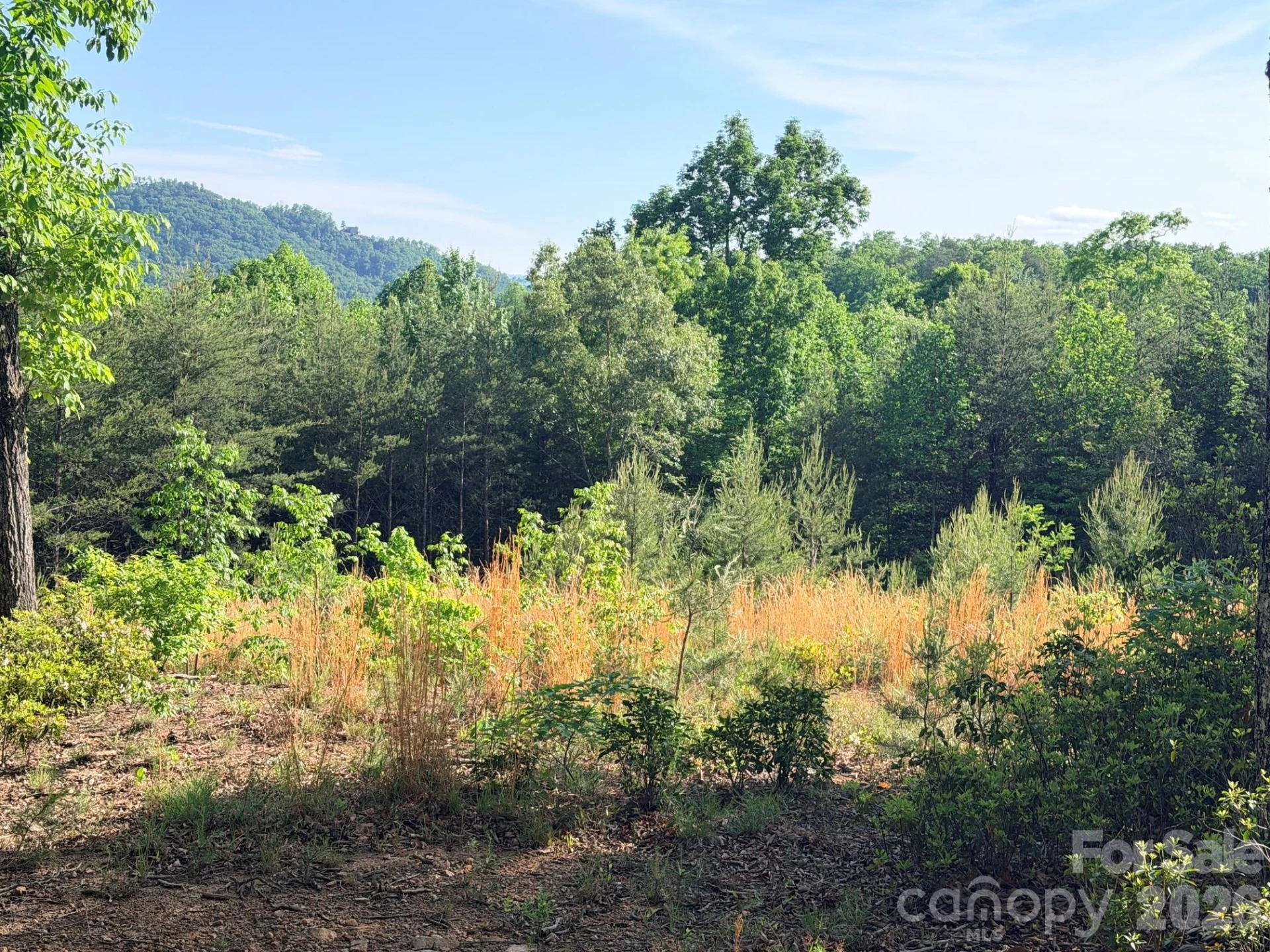 Lot 11 Brookside Parkway - Photo 3