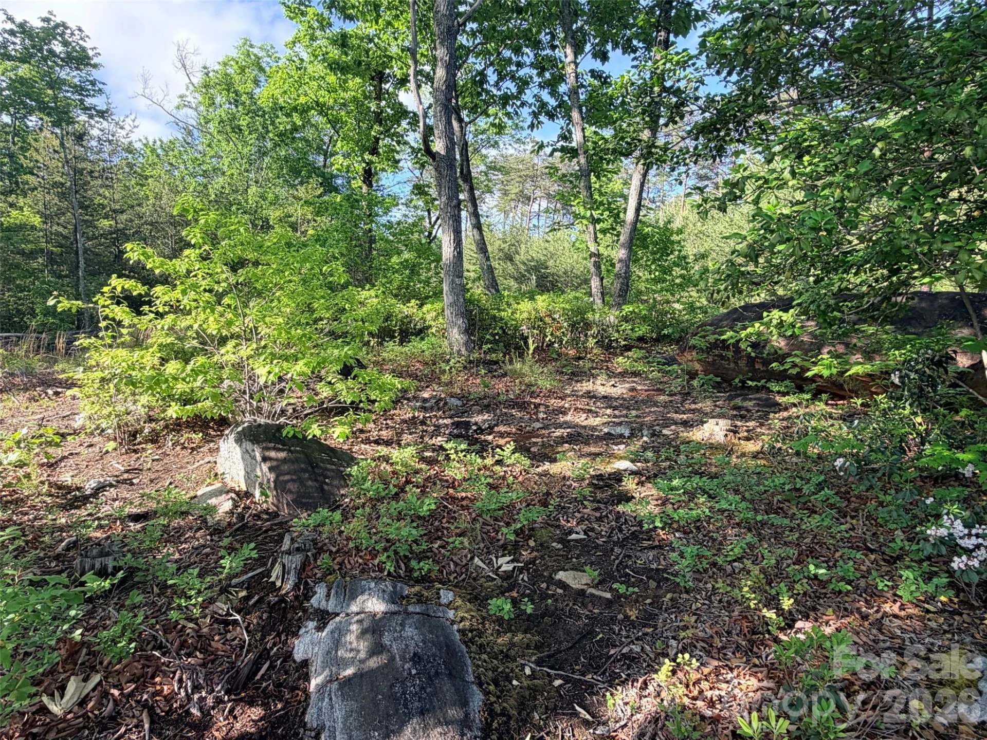 Lot 11 Brookside Parkway - Photo 4